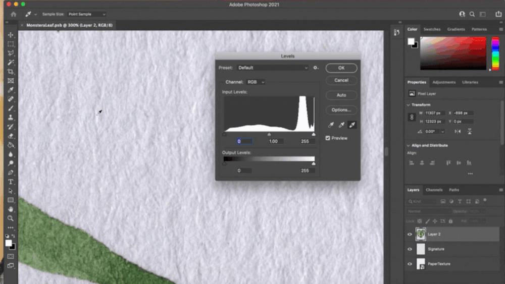 How to Remove a White Background in — CatCoq