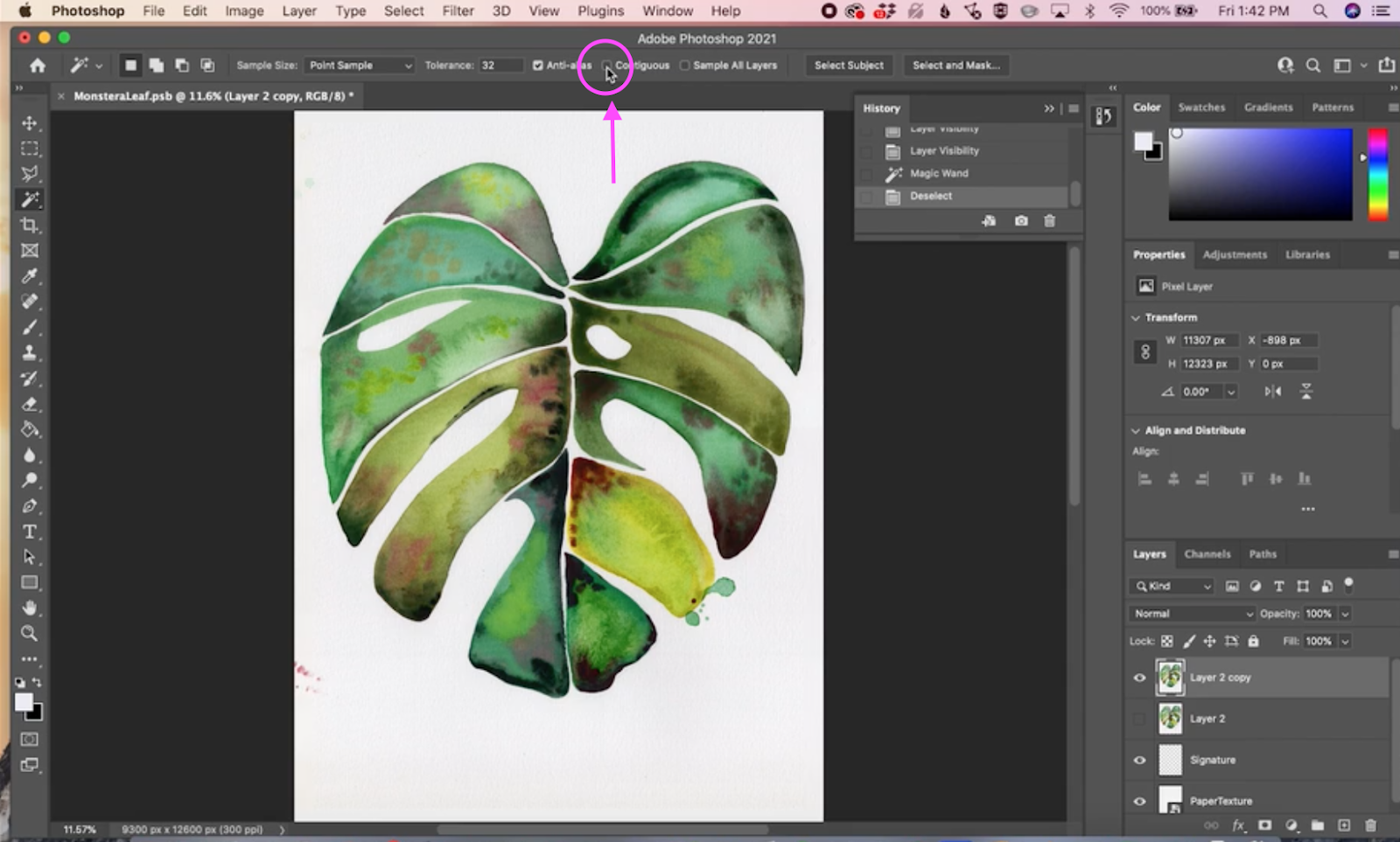 How to Remove a White Background in — CatCoq