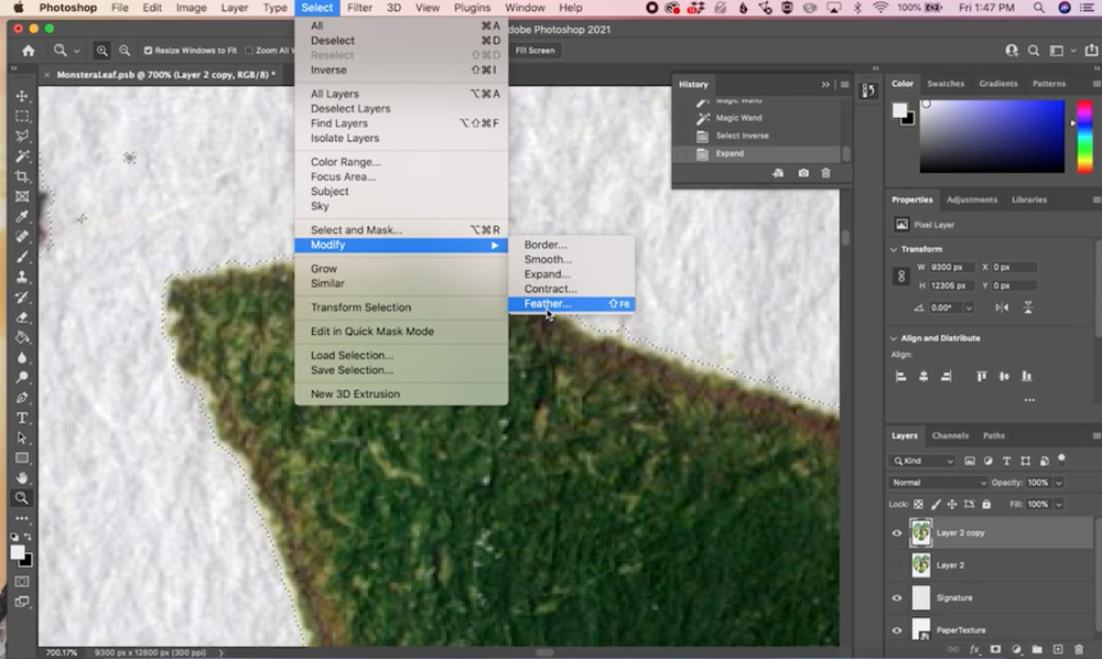 How to Remove a White Background in Photoshop — CatCoq