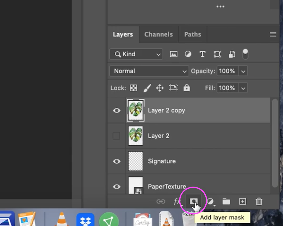 How to Remove a White Background in — CatCoq