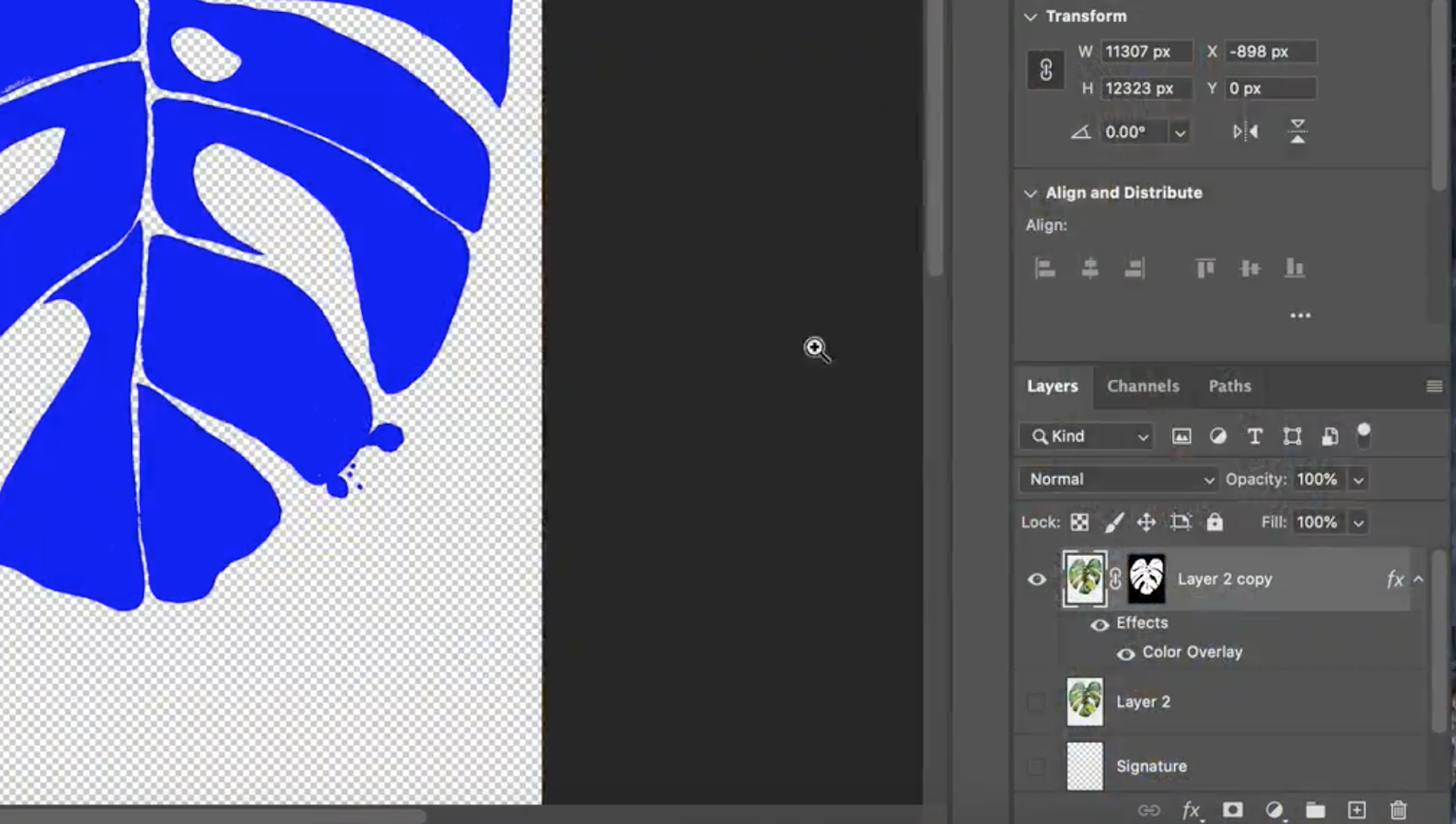 How To Remove A White Background In Photoshop Catcoq How To Remove A White Background In Photoshop Catcoq
