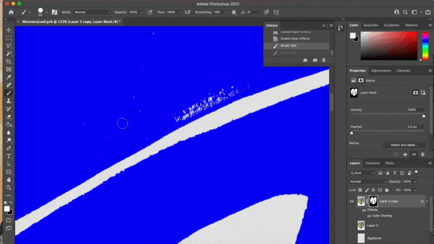 How to Remove a White Background in — CatCoq