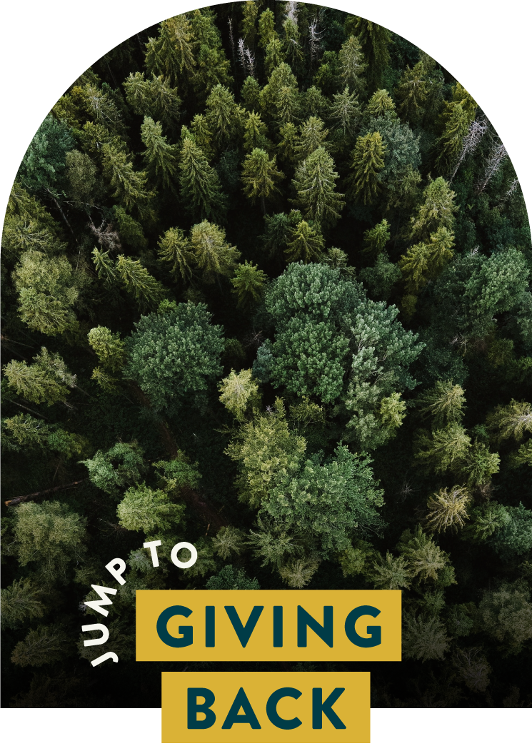 JumpTo-GivingBack-2022YearinReview.png