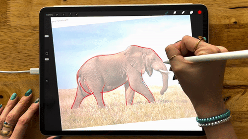 Procreate Course Animals Floral Animal Silhouettes in Procreate — CatCoq
