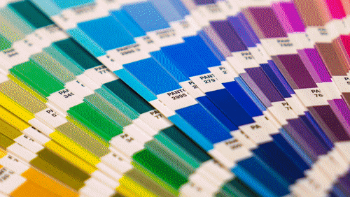 Cultivating Color — CatCoq
