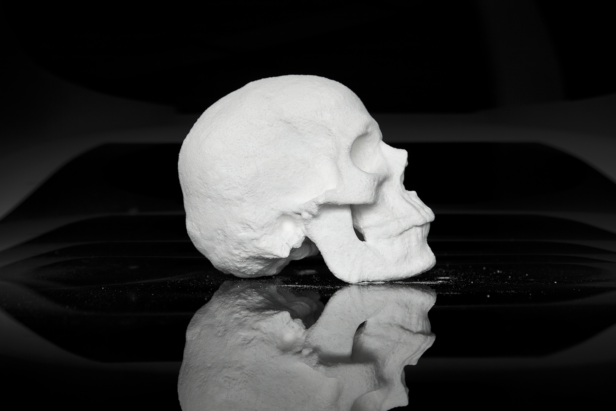 Ecce Animal by artist Diddo | conceptual art | skull made from cocaine | cocaine art