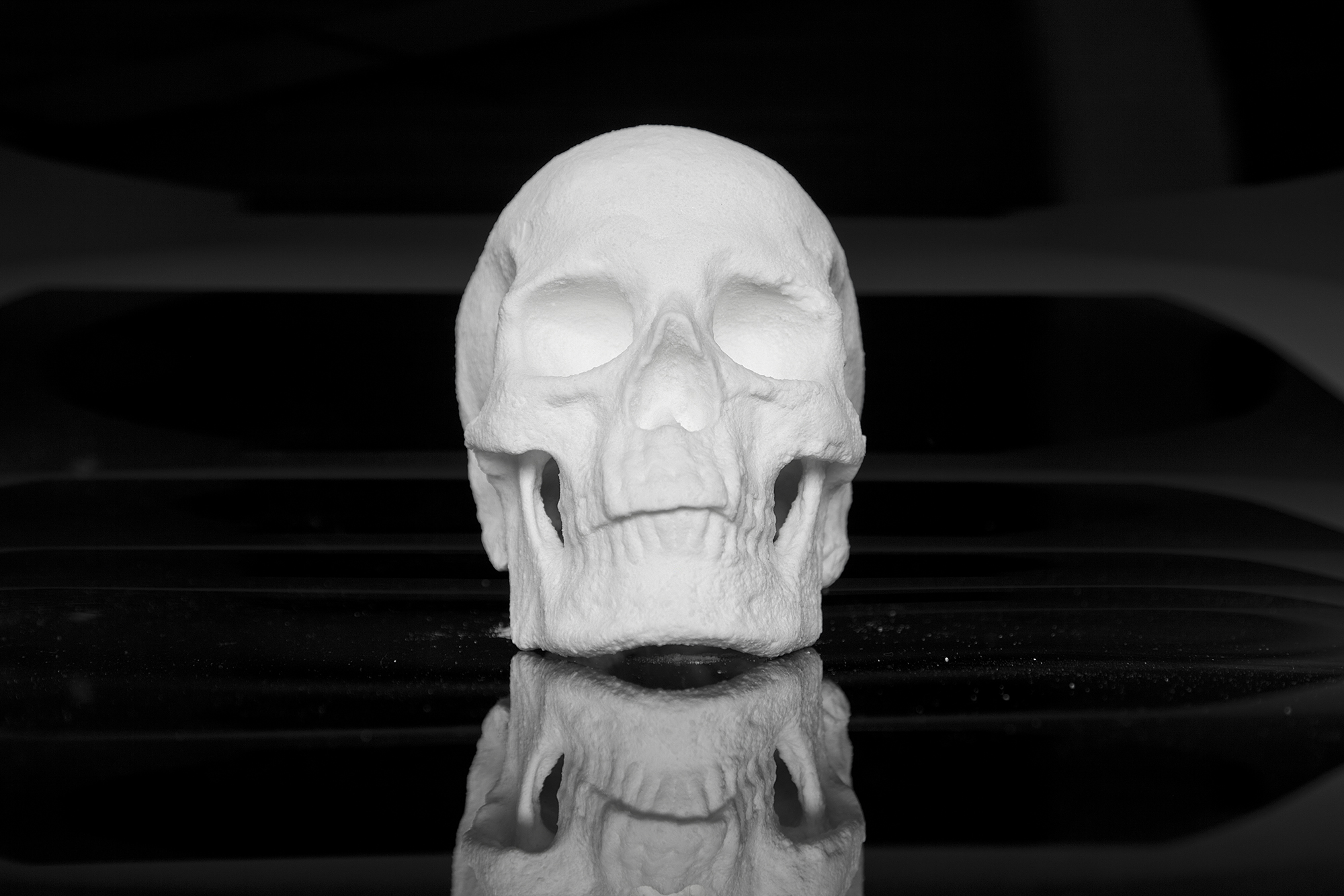 Ecce Animal by artist Diddo | conceptual art | skull made from cocaine | cocaine art