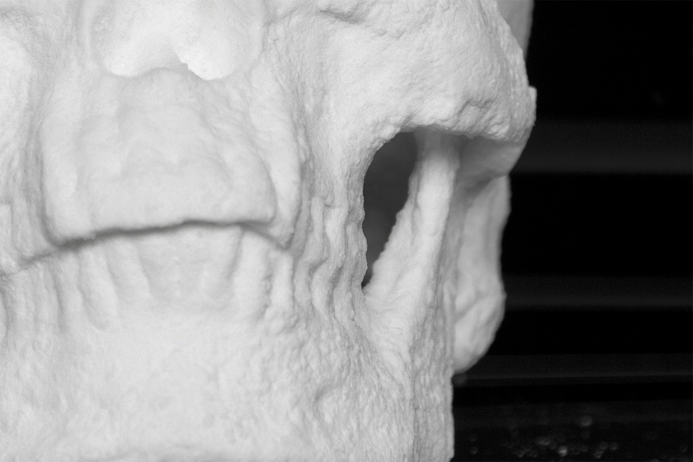 Ecce Animal by artist Diddo | conceptual art | skull made from cocaine | cocaine art