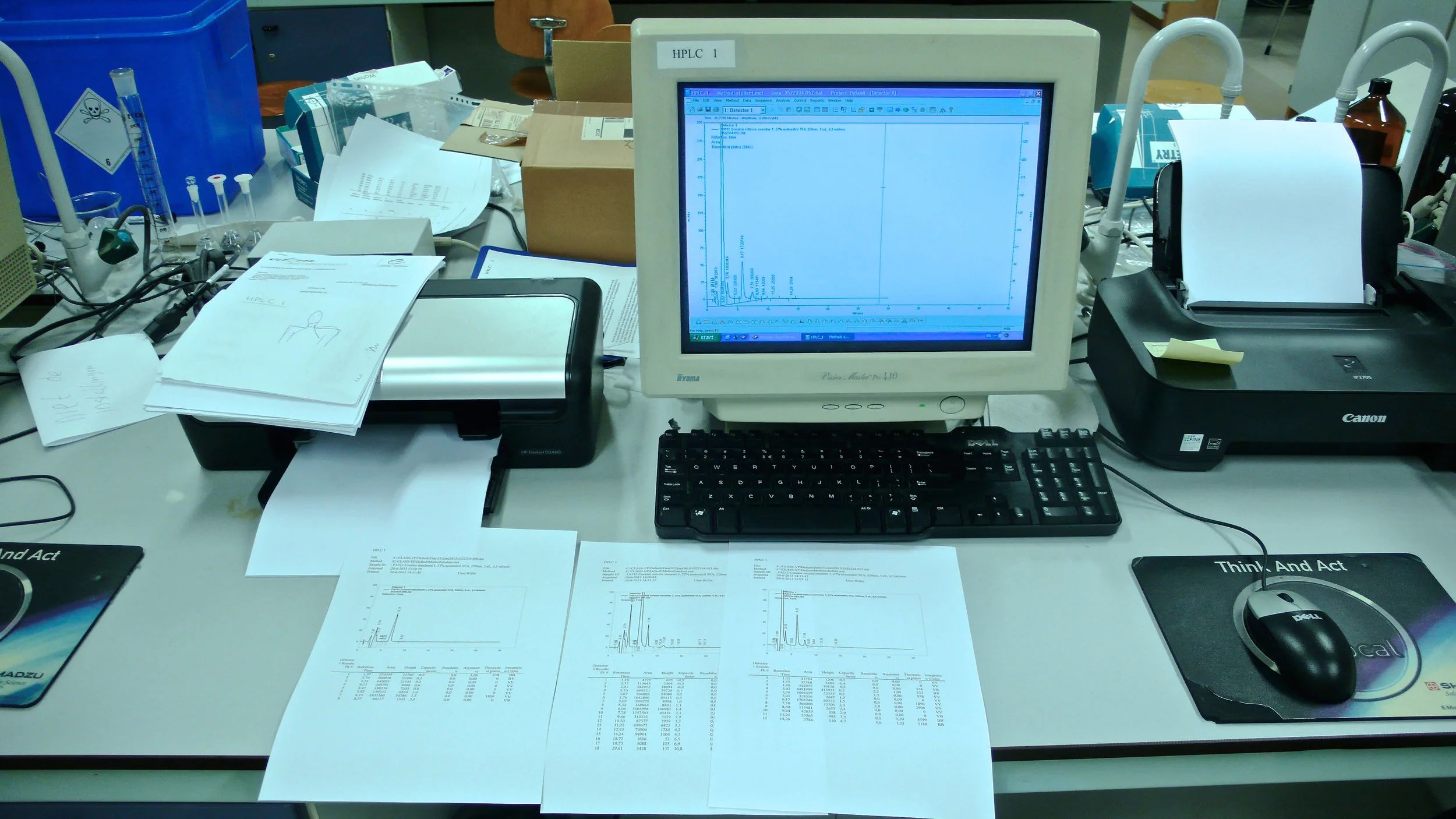 Ecce Animal by artist Diddo | conceptual art | skull made from cocaine | cocaine art