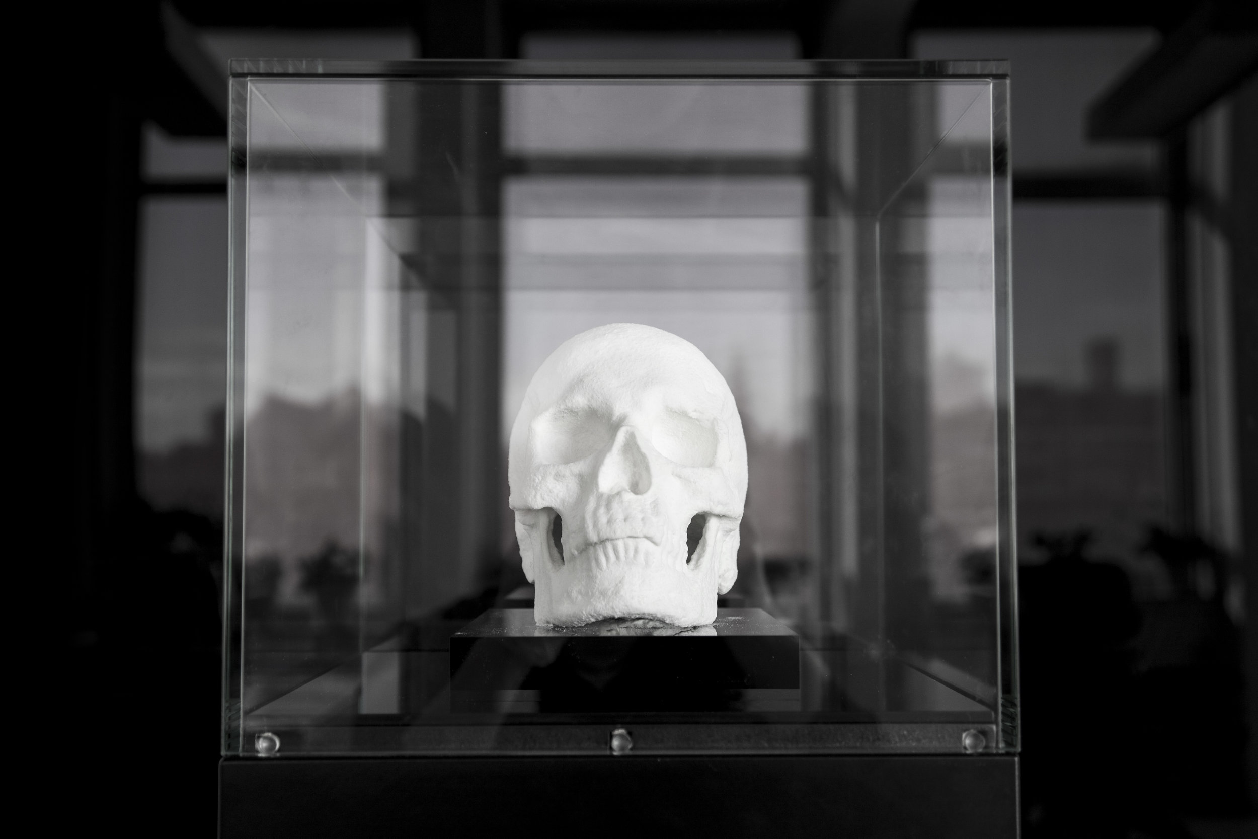 Ecce Animal by artist Diddo | conceptual art | skull made from cocaine | cocaine art