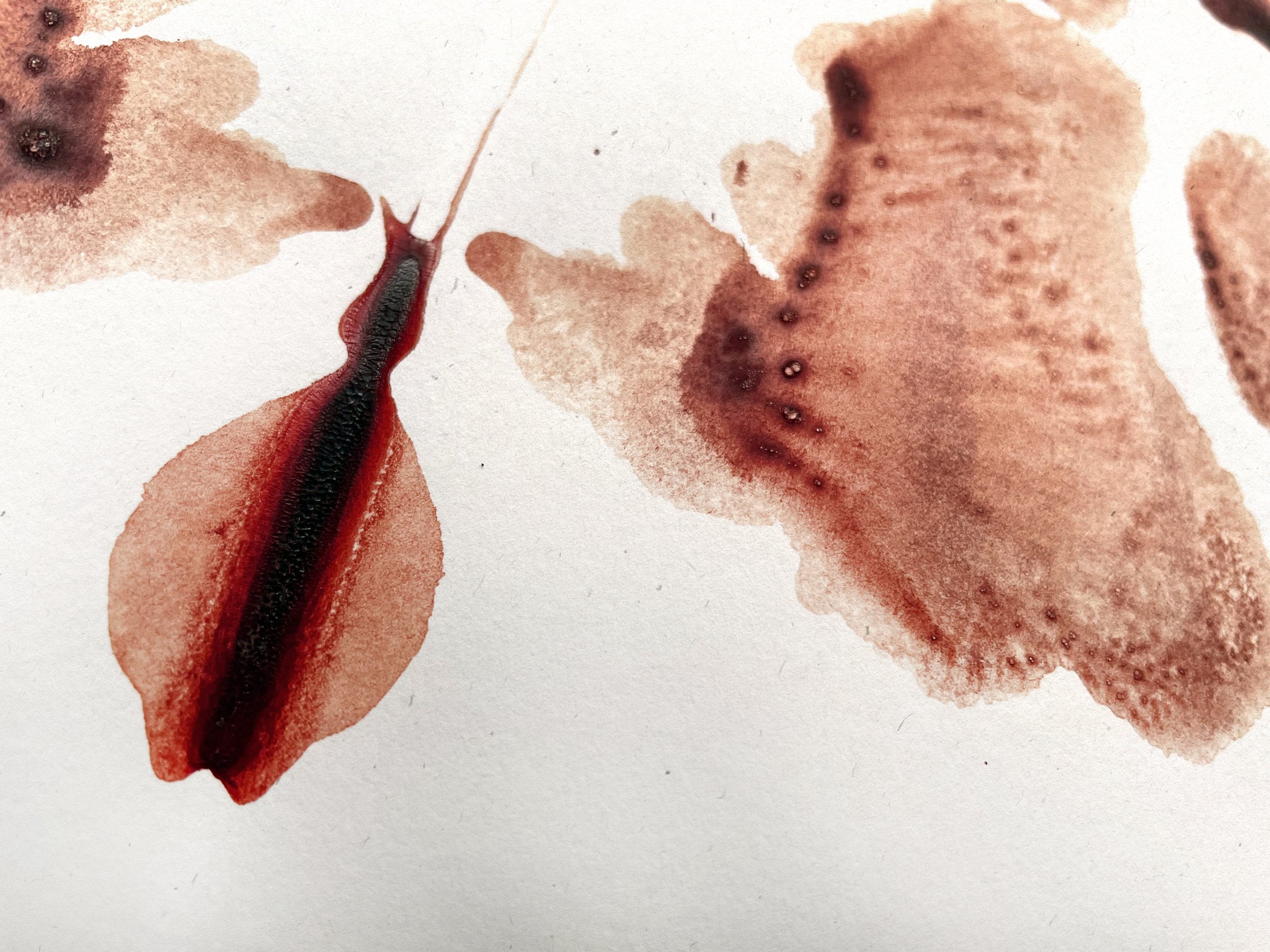 In Anxiety we Trust - by artist Diddo | Rorschach cards made with human blood | art | prints