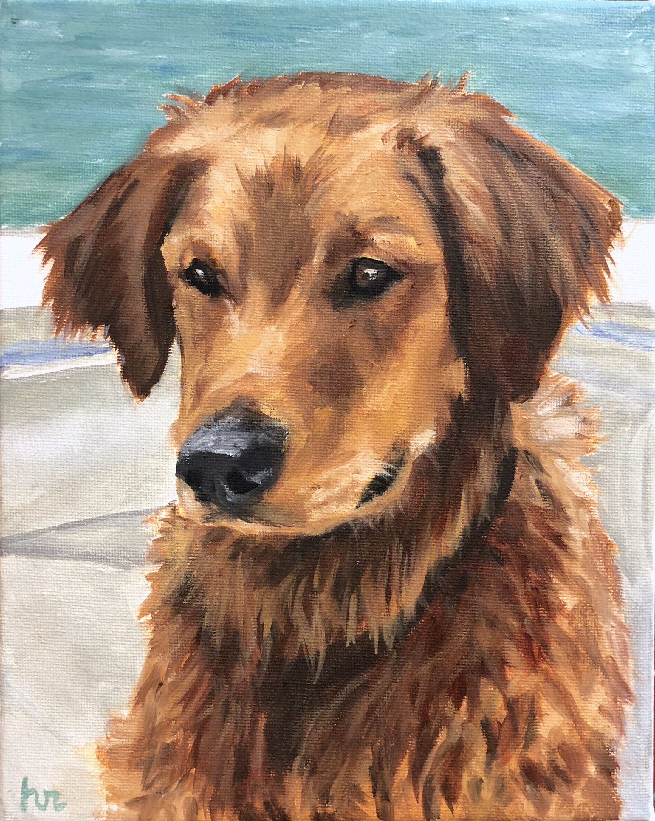 Golden Retriever on Boat