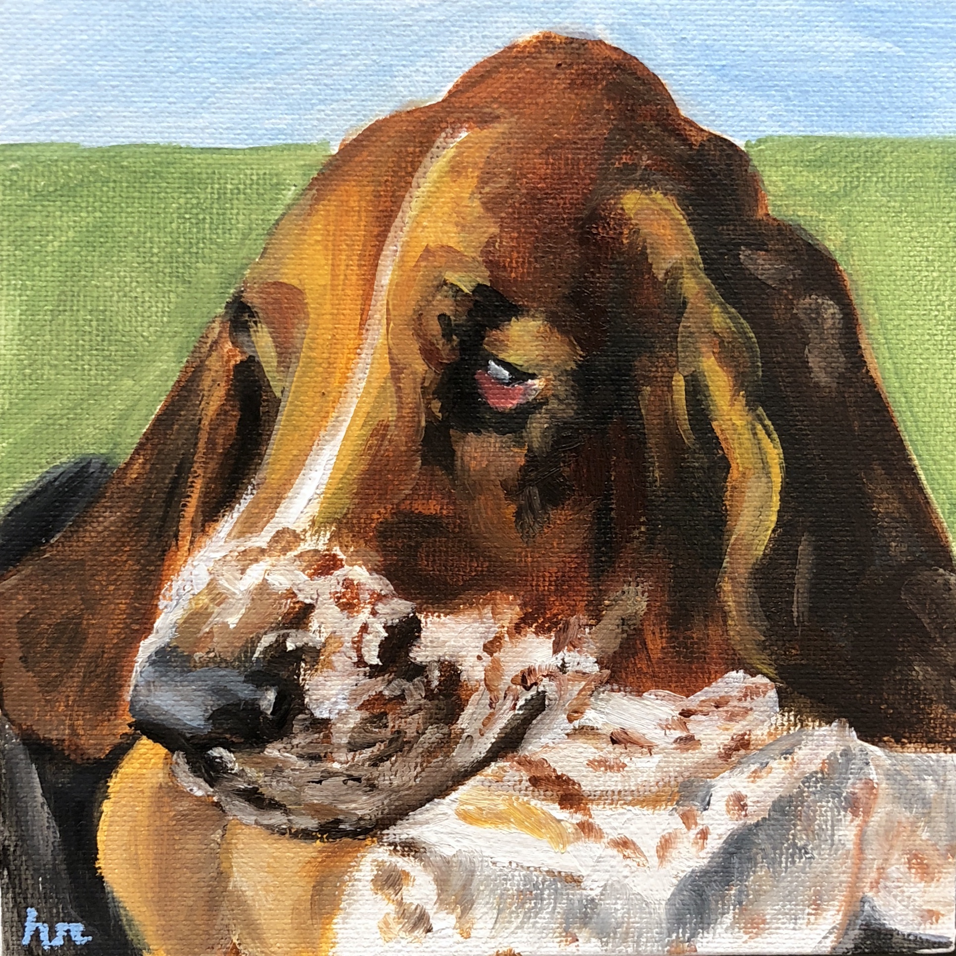 Basset Hound #2
