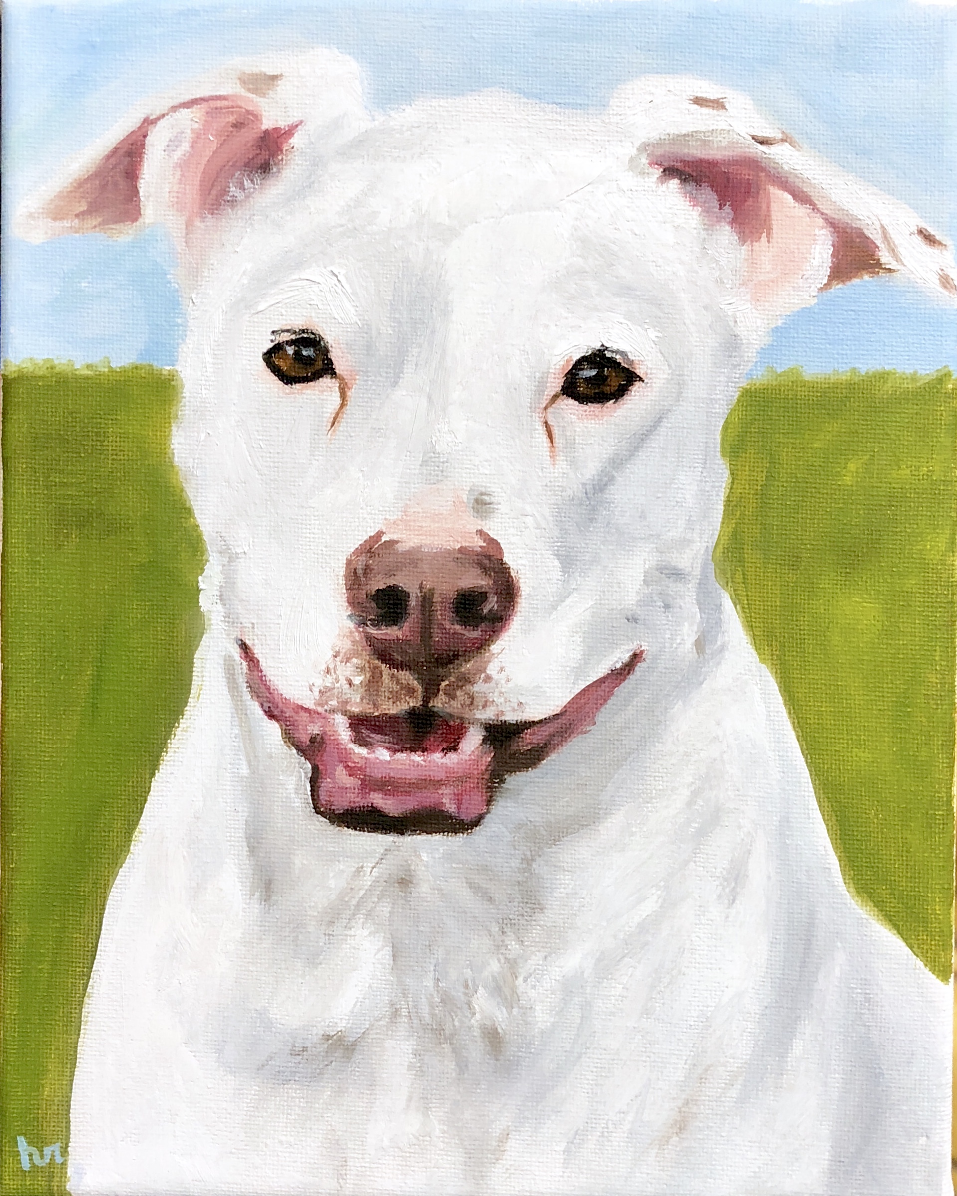 White Pit Mix