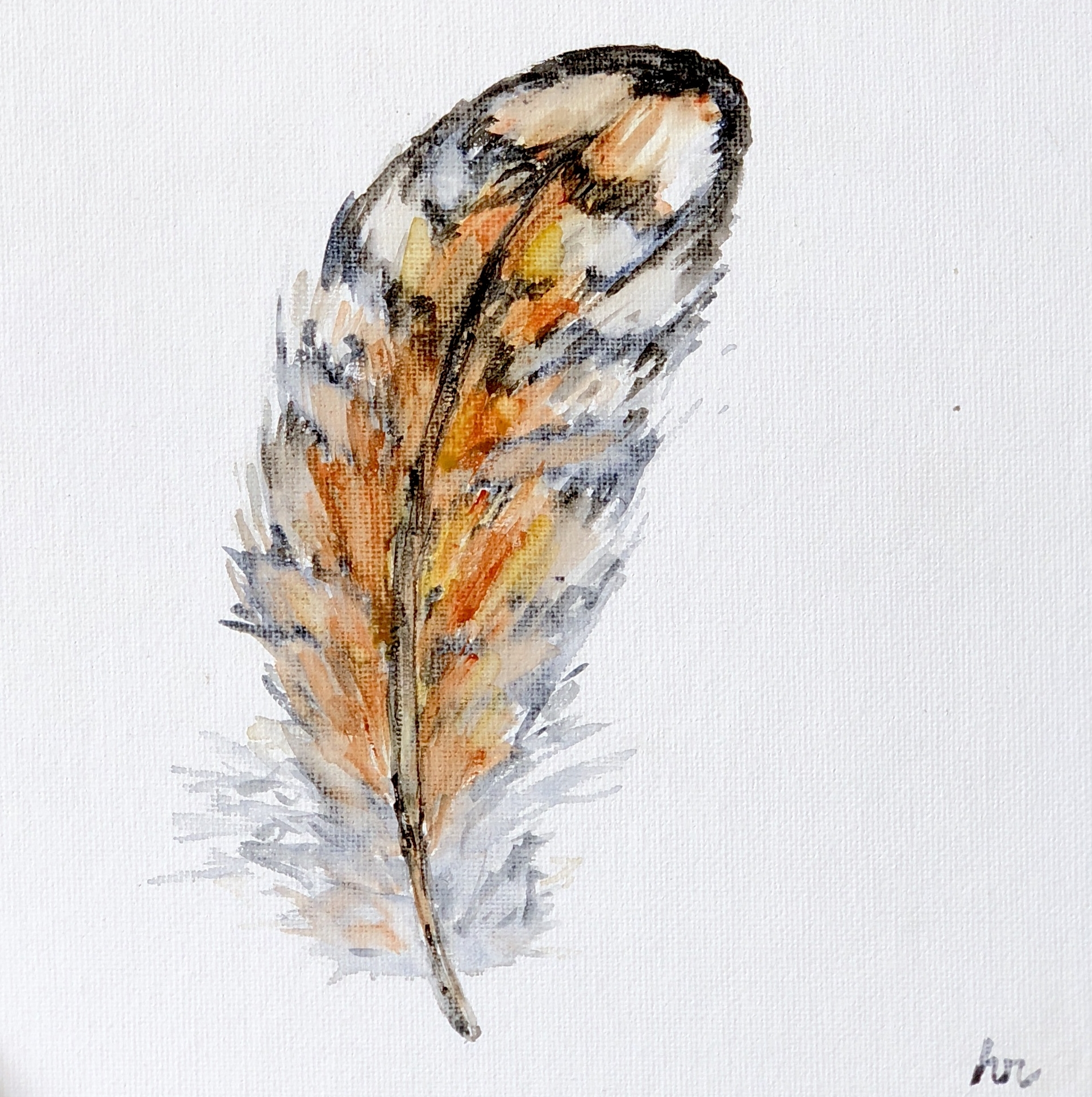Quail Feather #1