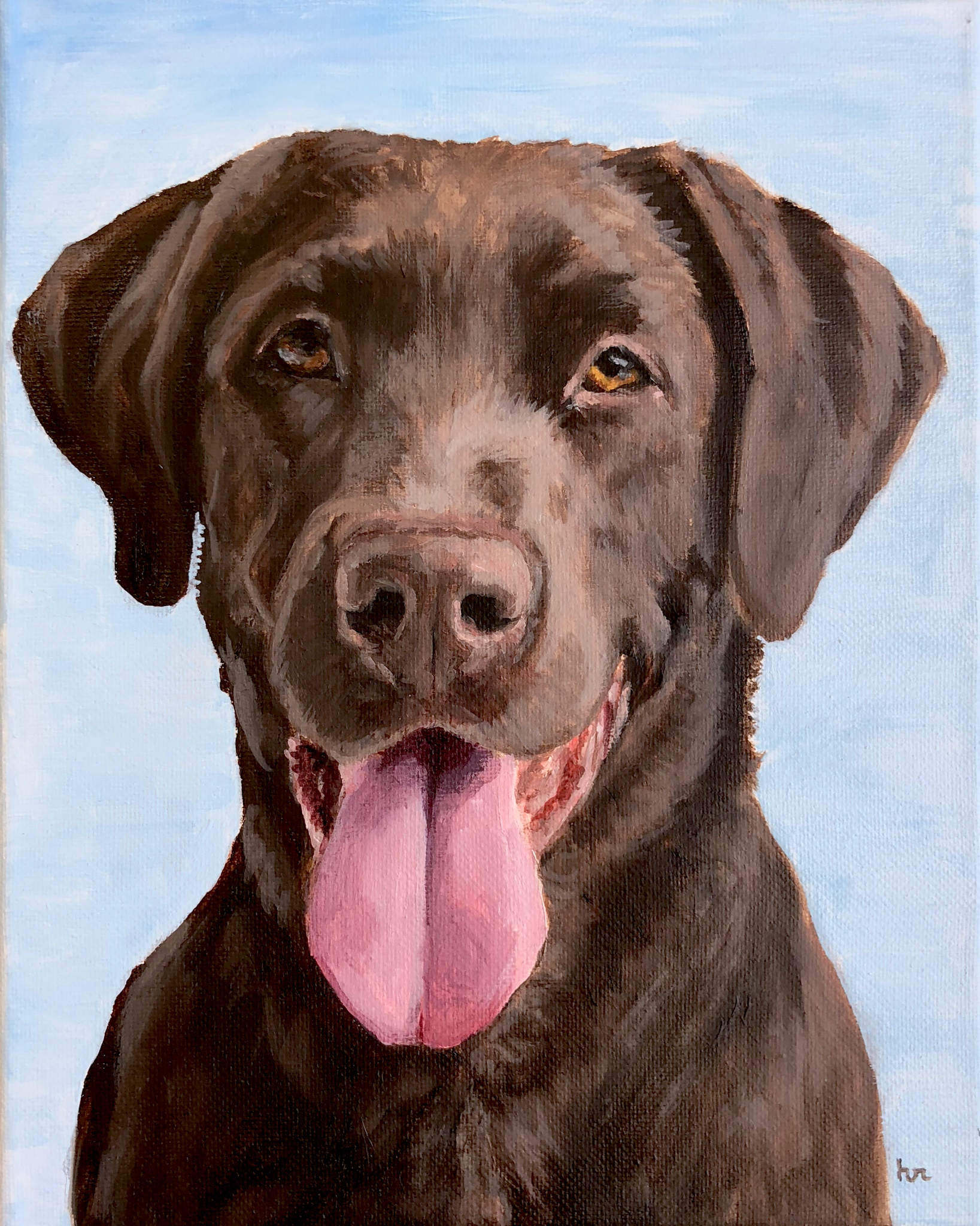 Chocolate Lab