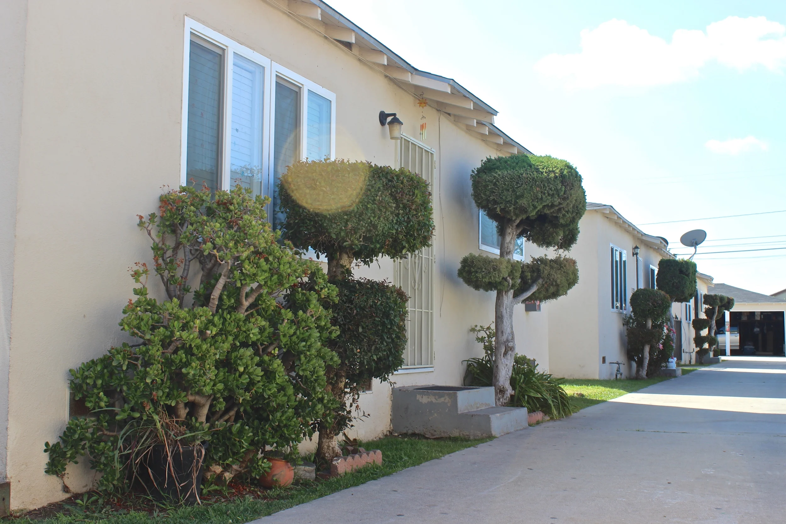 Single-story building with topiary bushes and clear skies.