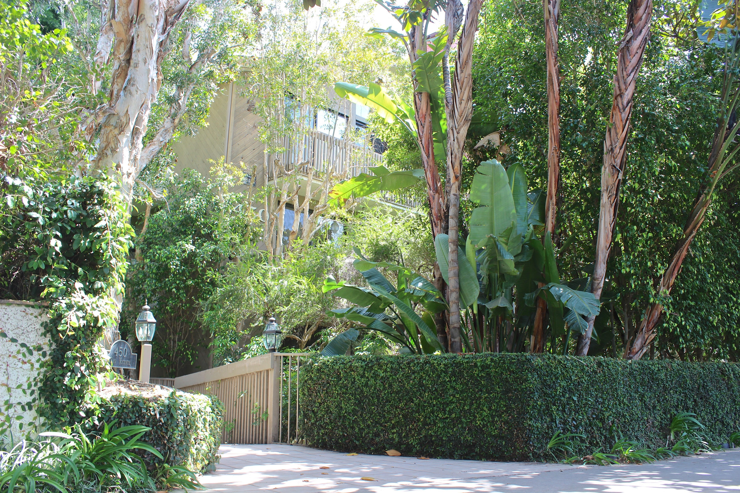 Trees and shrubs surrounding a condominium.