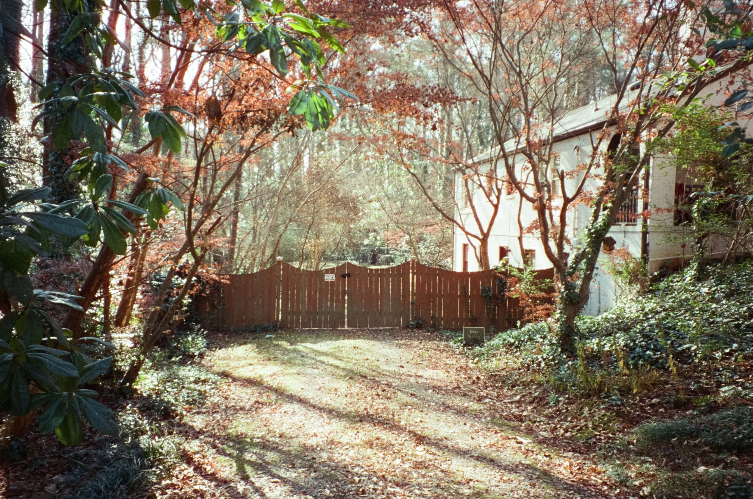 ATLCinestill400-4-2.jpg