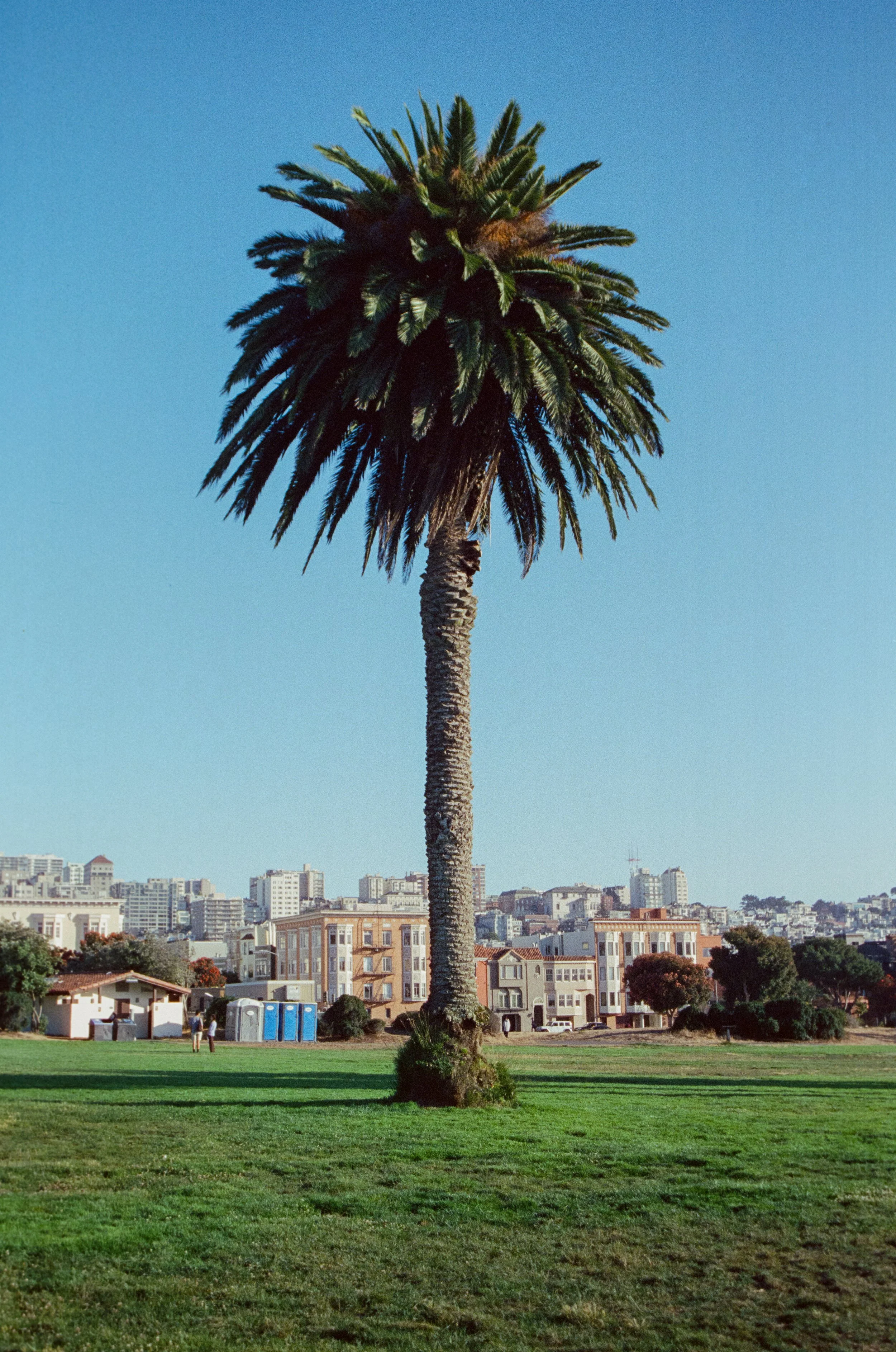 010025460033-2.jpg