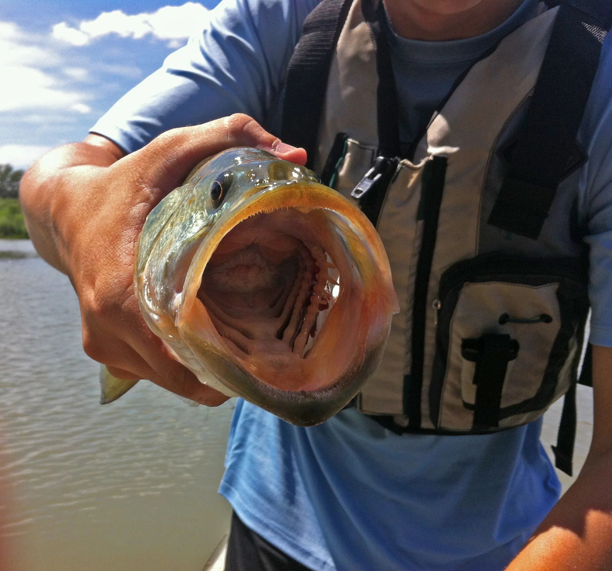 A Light Setup for Some Big Bass