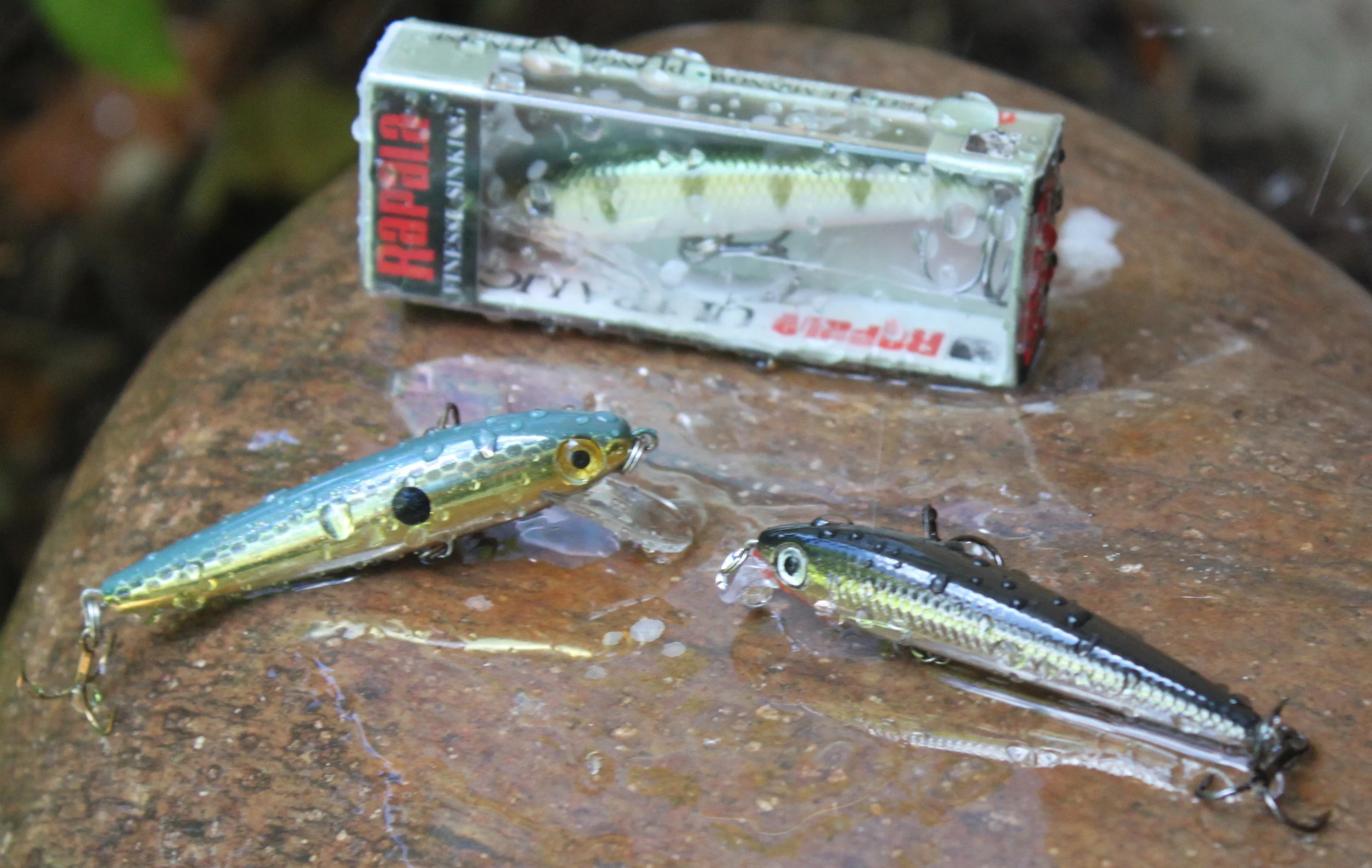 rapala ultra light minnow