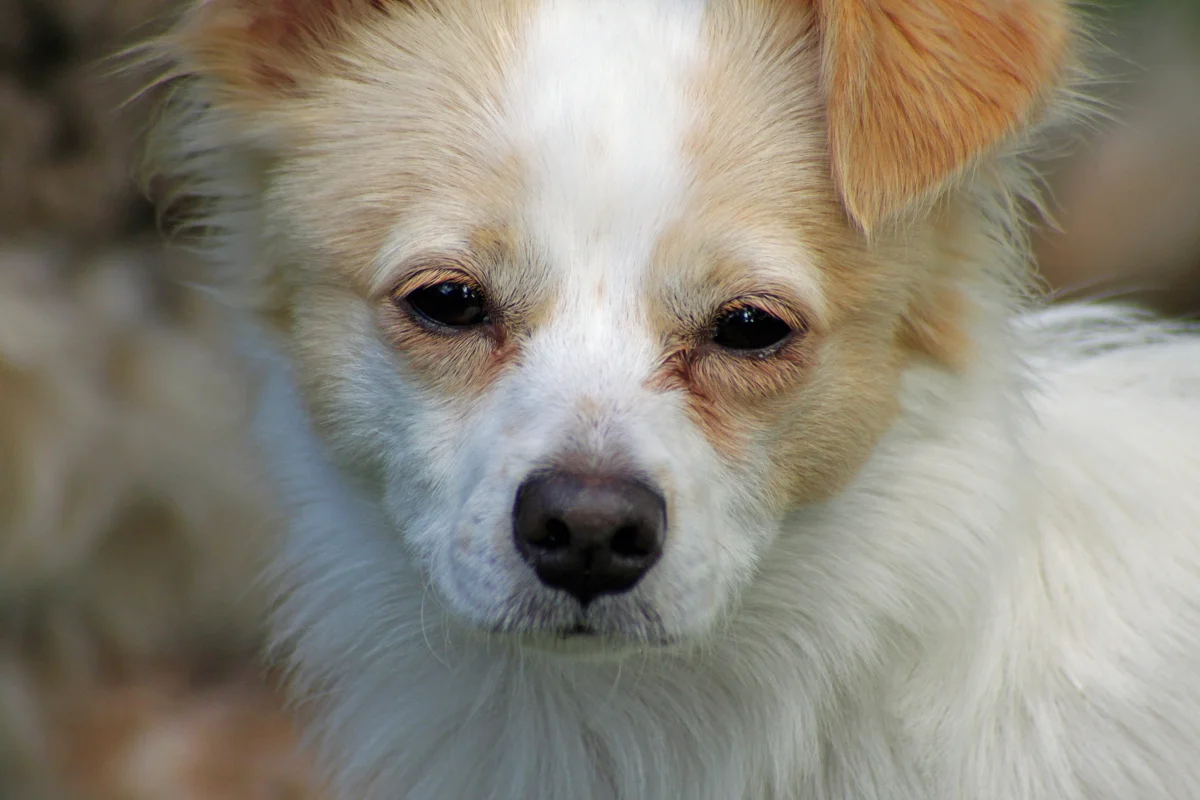 When Is It Time To Go Fishing?