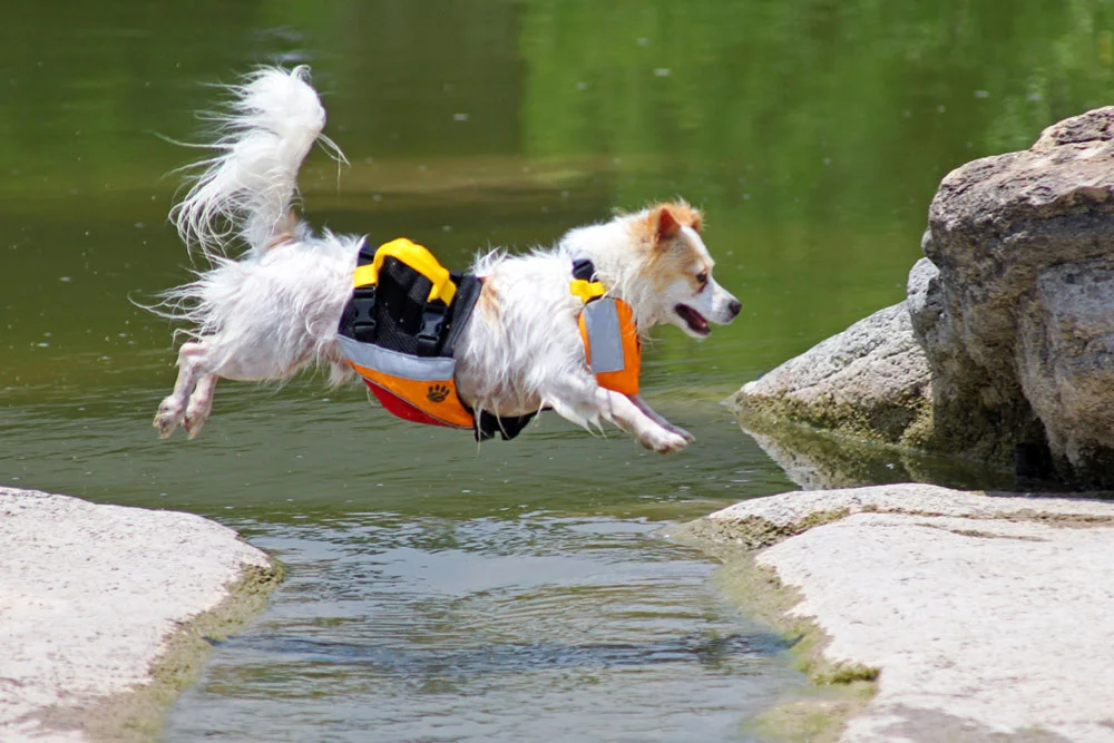 Underdog Life Jacket.jpg