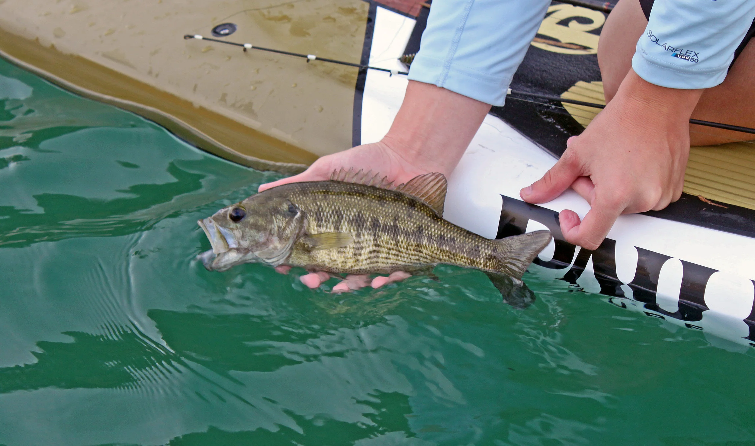 Catching Some Guadalupe on the South Llano River