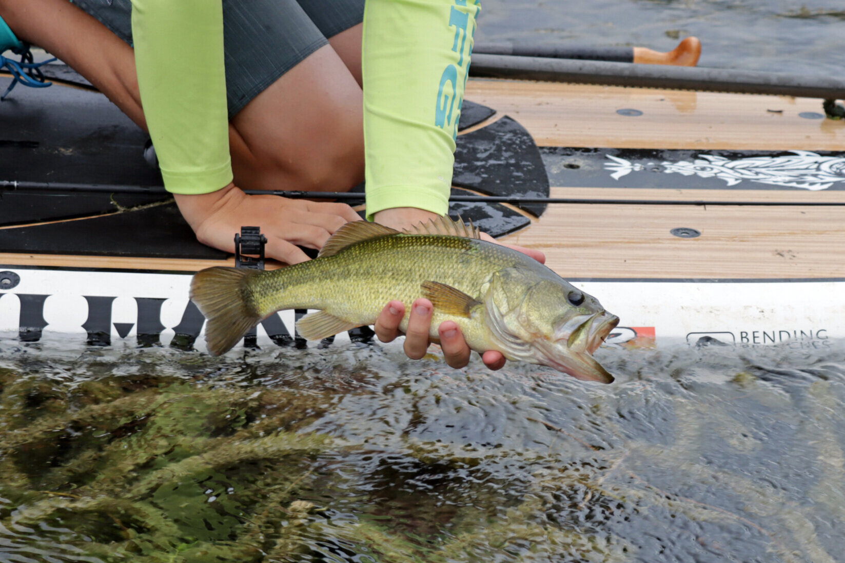 Bending Branches Angler Pro Carbon, a “Wow” Factor Paddle