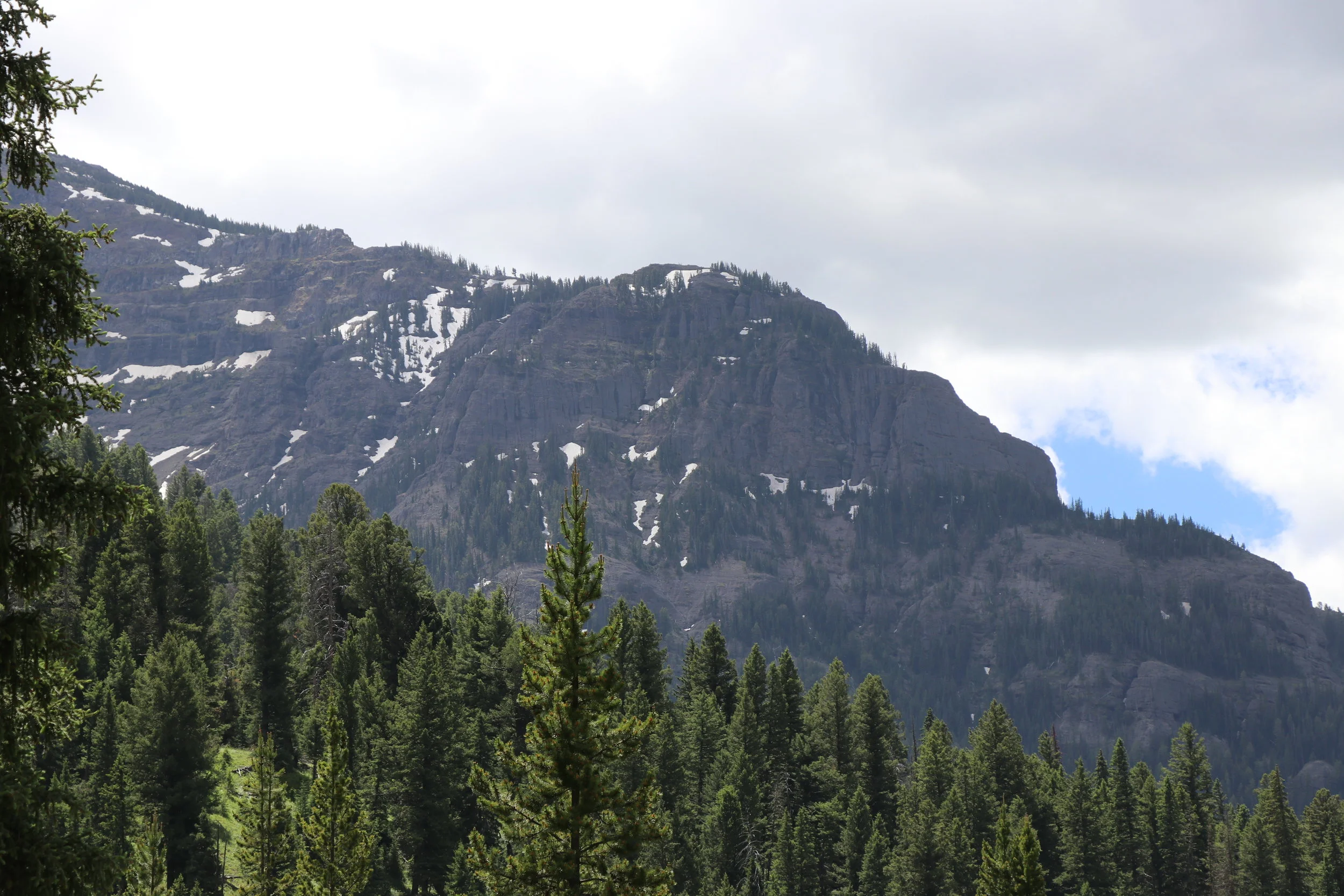 IMG_3797.JPG