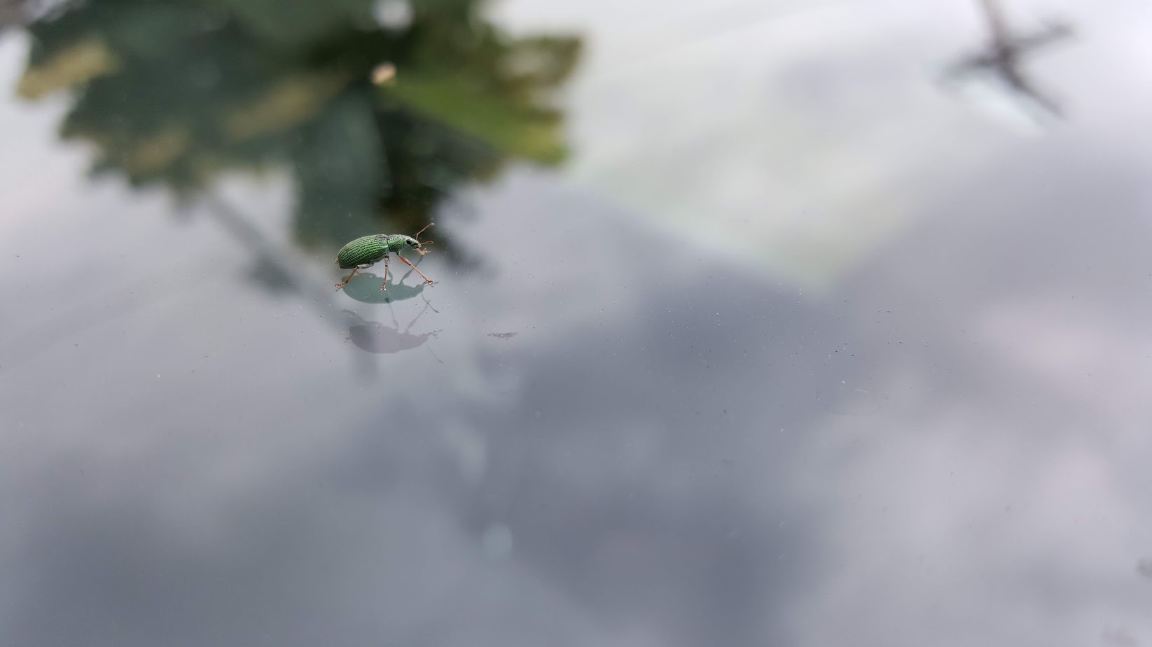 20180612_170840.jpg