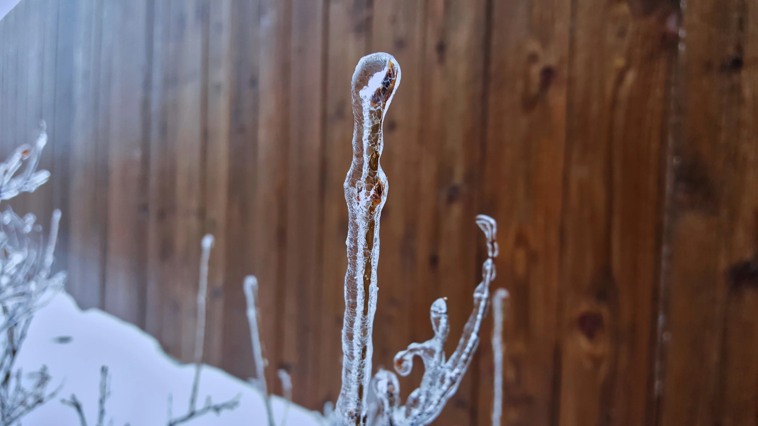 frozen_over01.jpg