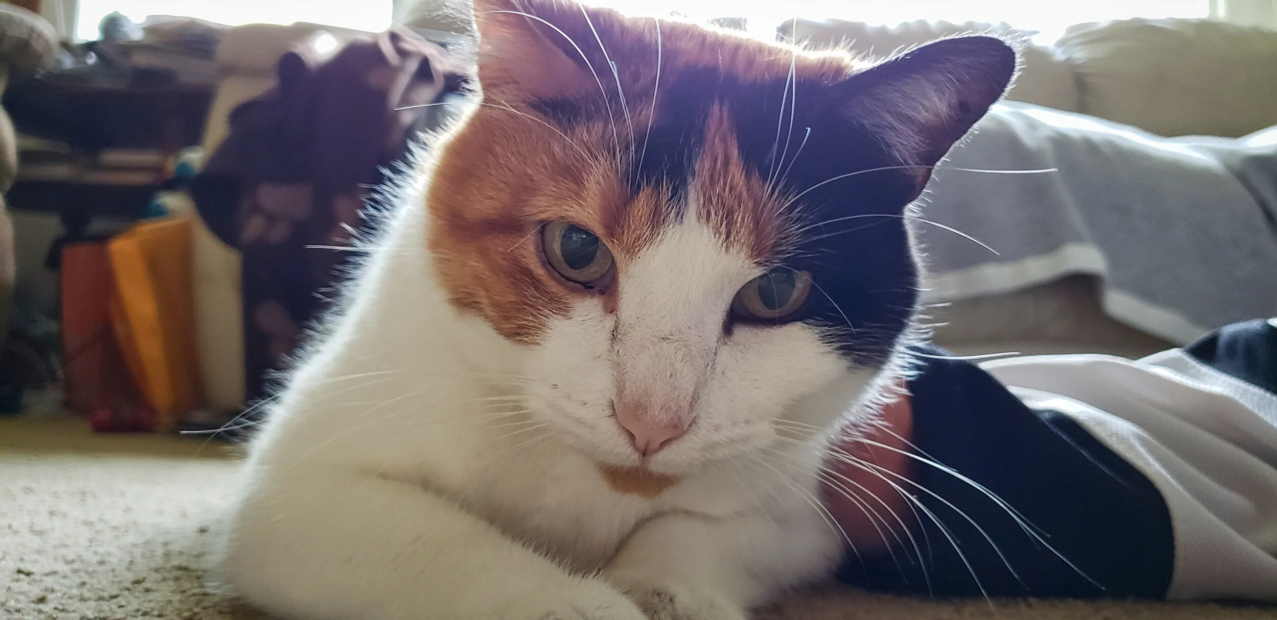 20191022_161933.jpg