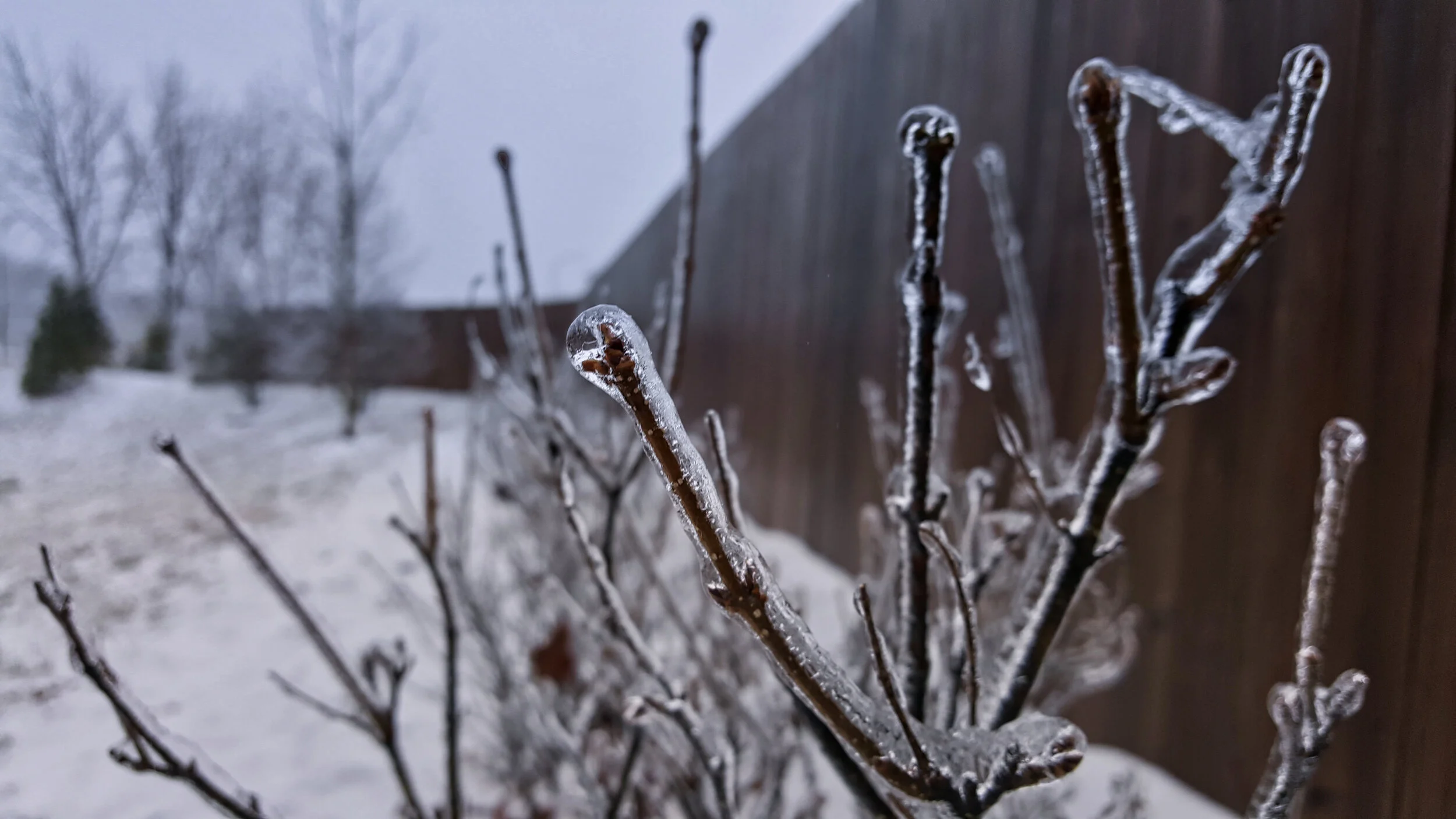 frozen_over02.jpg