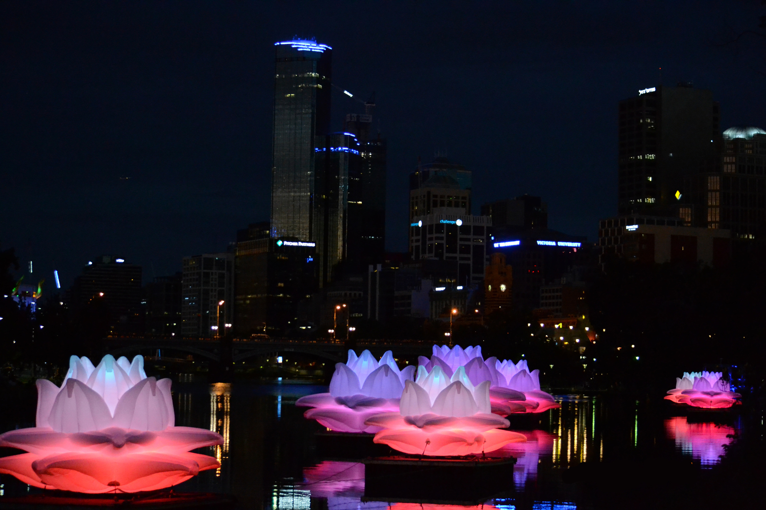 Sita's Garden- White Night, Melbourne 2015