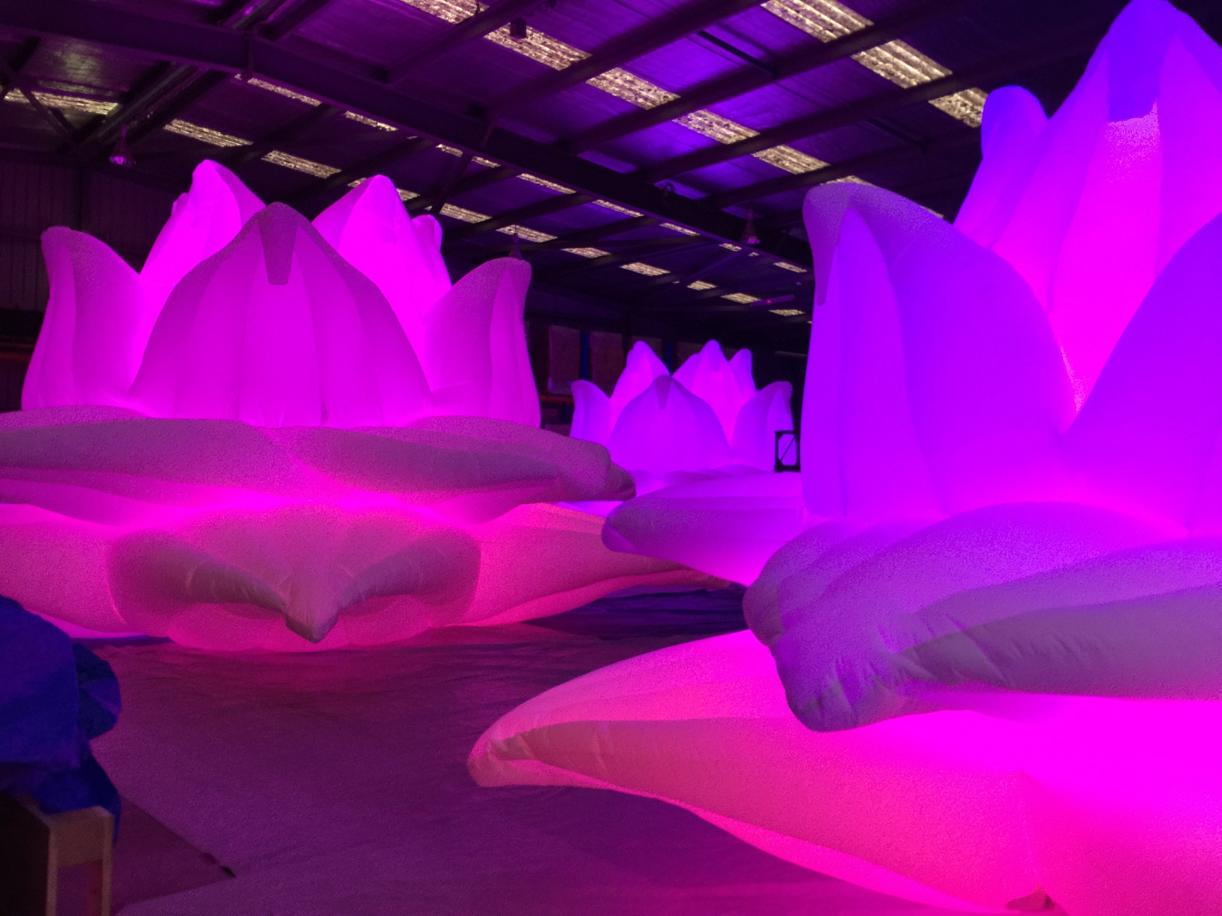 Lighting tests for Lotuses