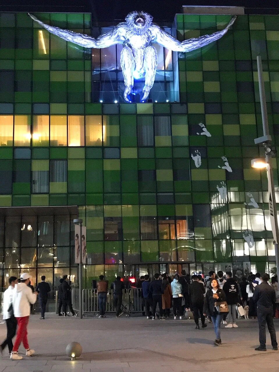 Skywalker Gibbon - Beijing