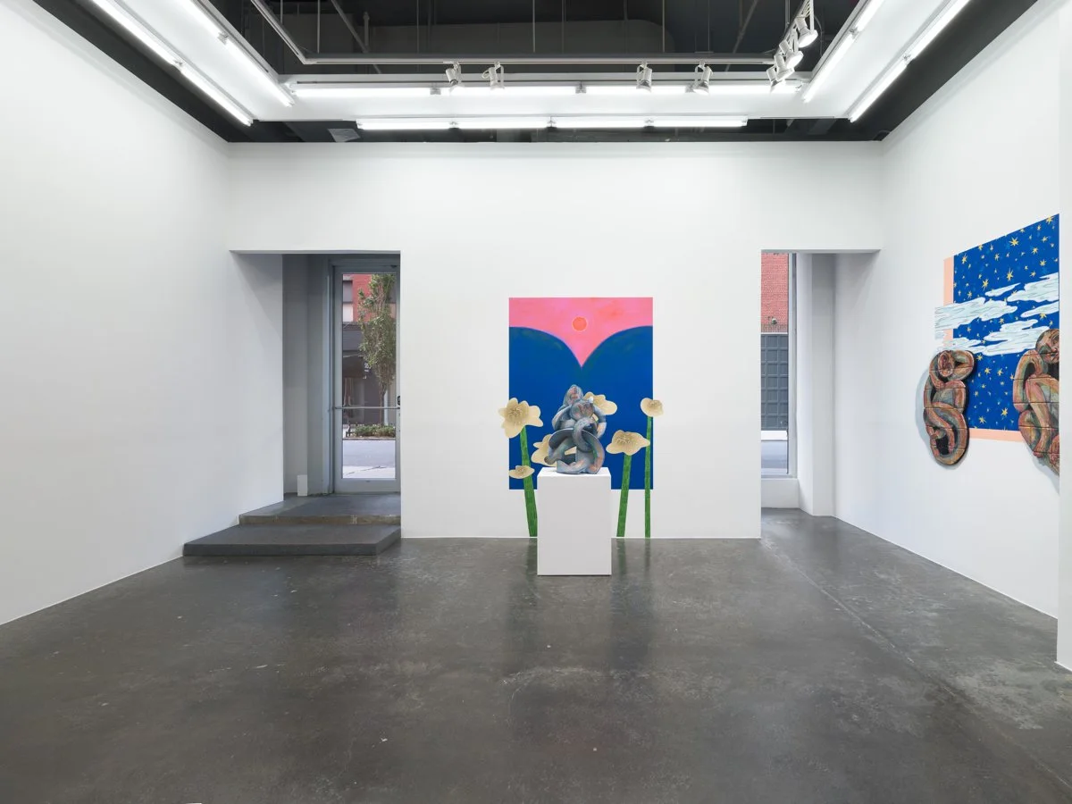 INSTALLATION VIEW 9.jpg