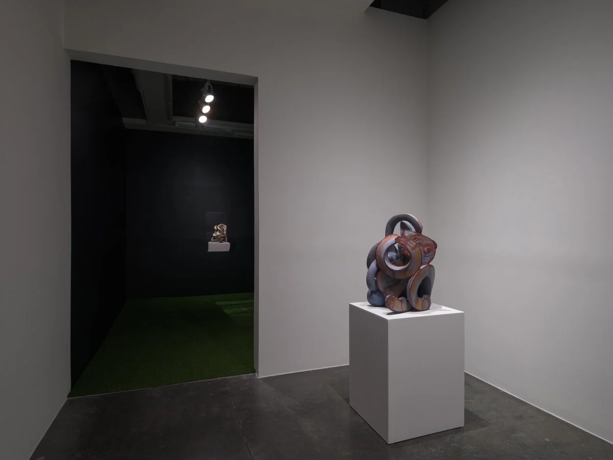 INSTALLATION VIEW 20.jpg
