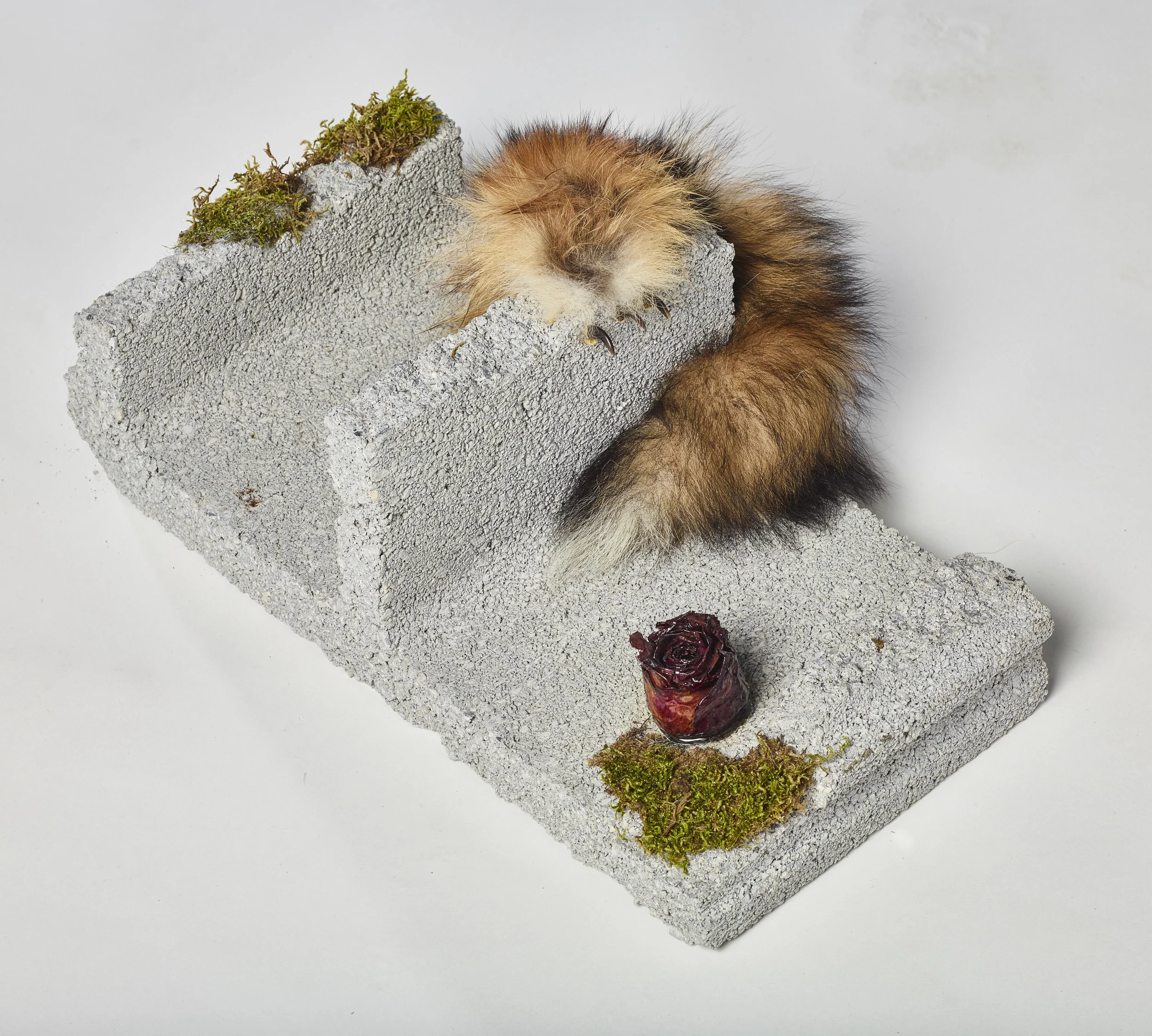 2016-02-01 Emily Perina Scultptures05194.jpg
