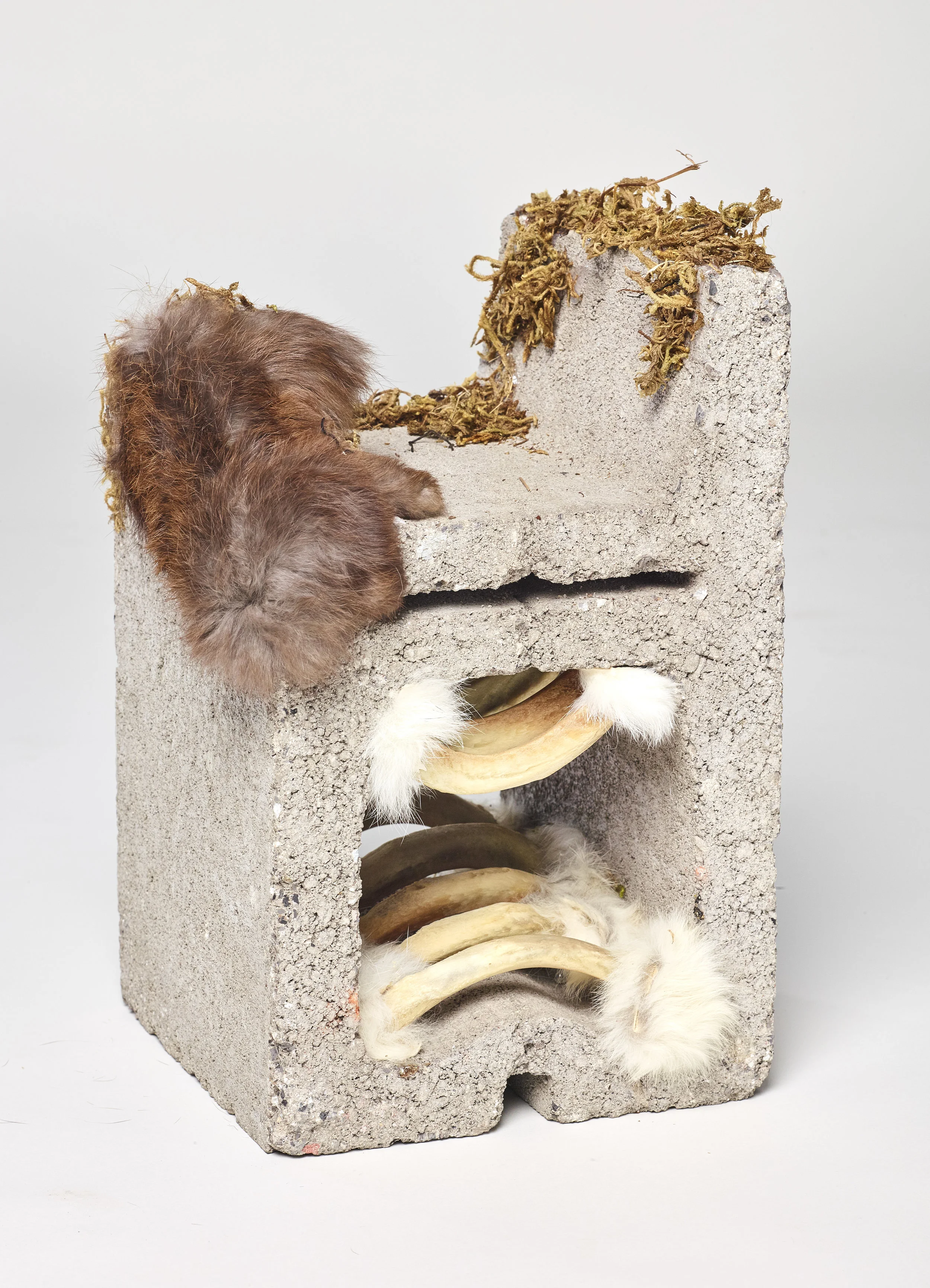2016-02-01 Emily Perina Scultptures05134.jpg
