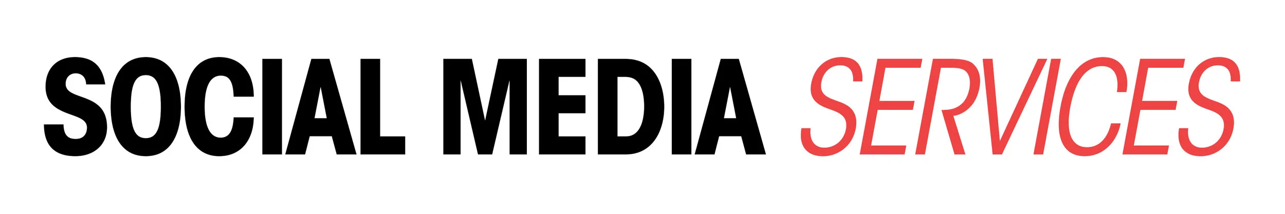 Social Media Marketing Advertising Development Services.jpg
