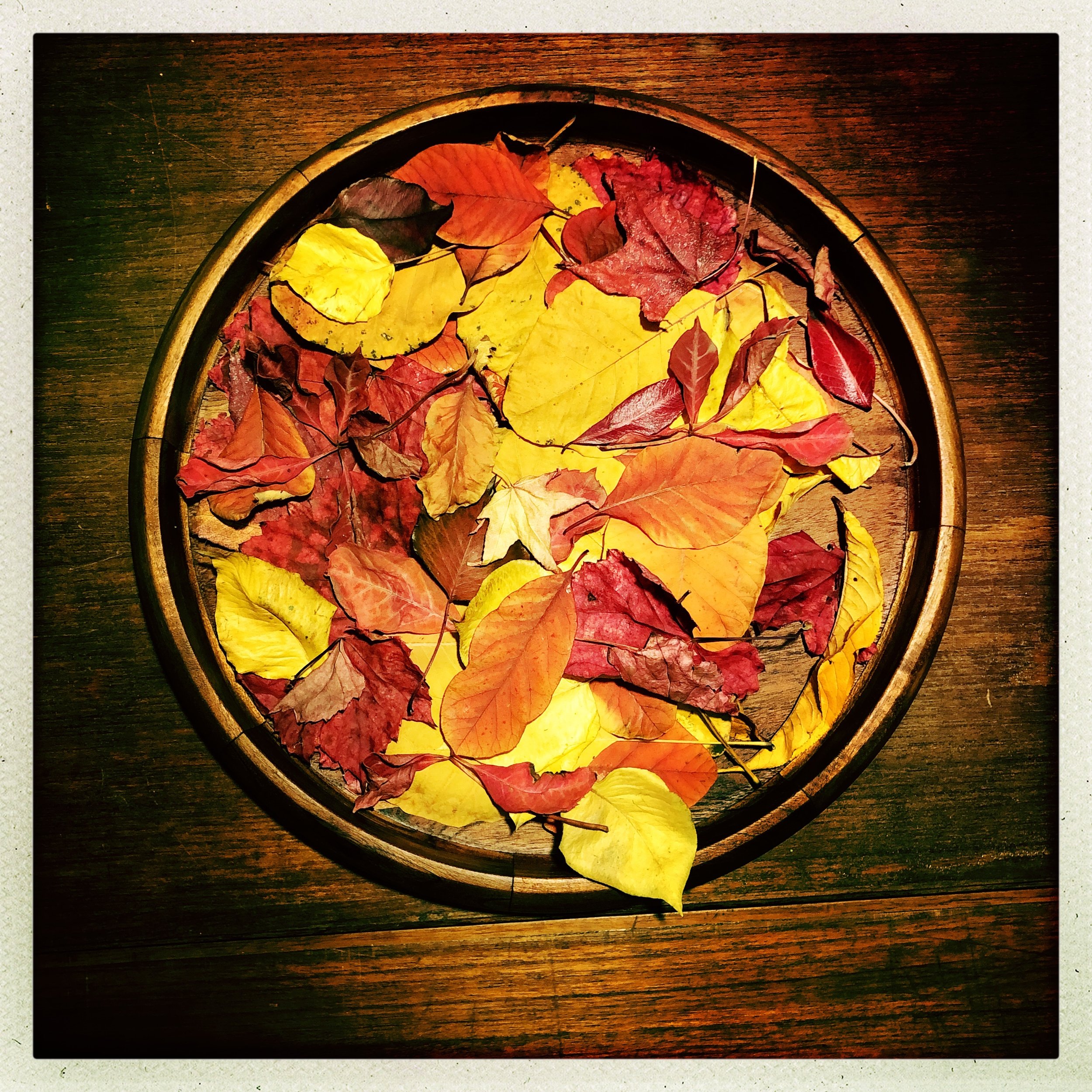 HipstamaticPhoto-770245369.705556.JPG