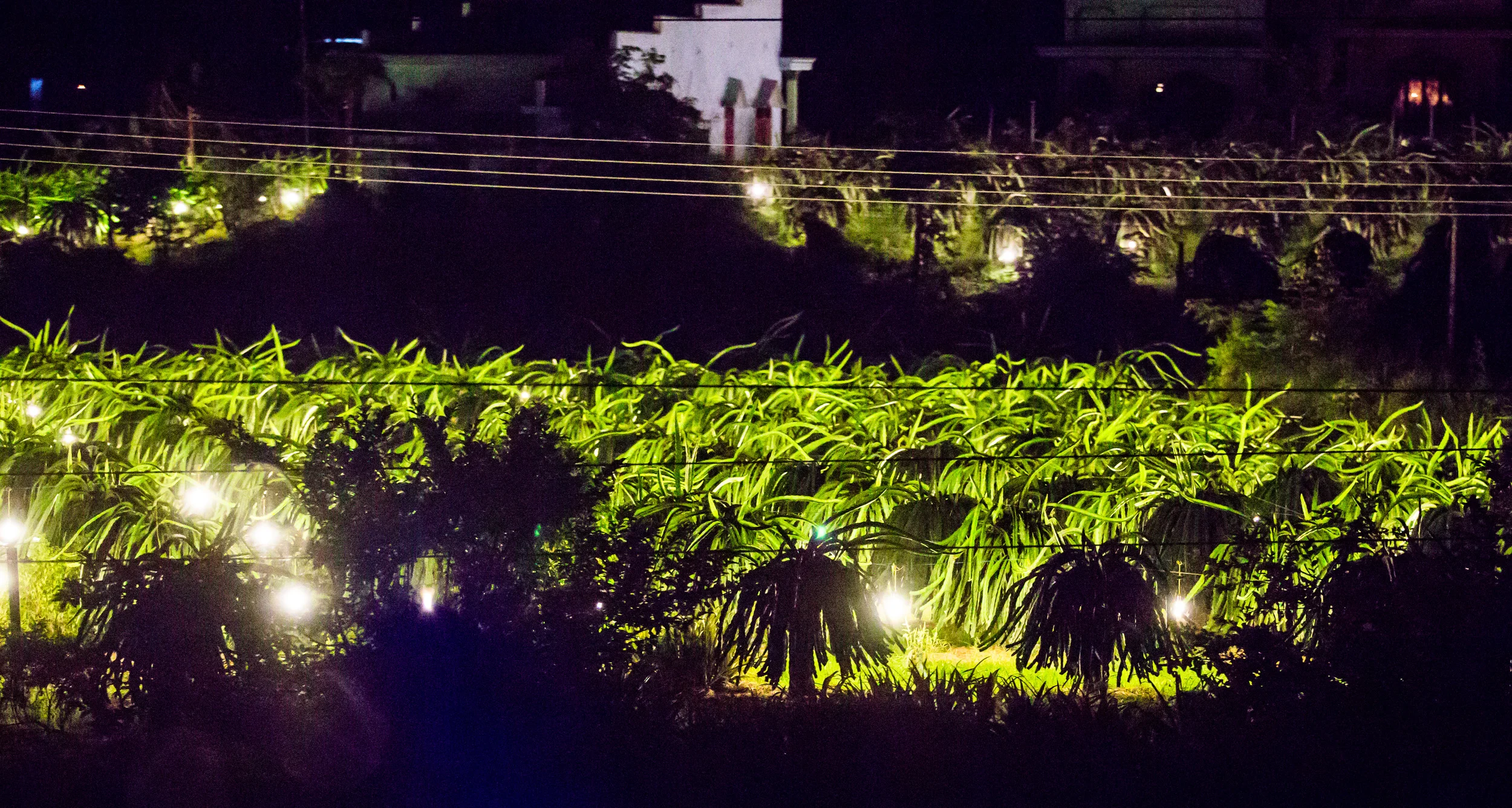 20131124-PQ7A7603.jpg