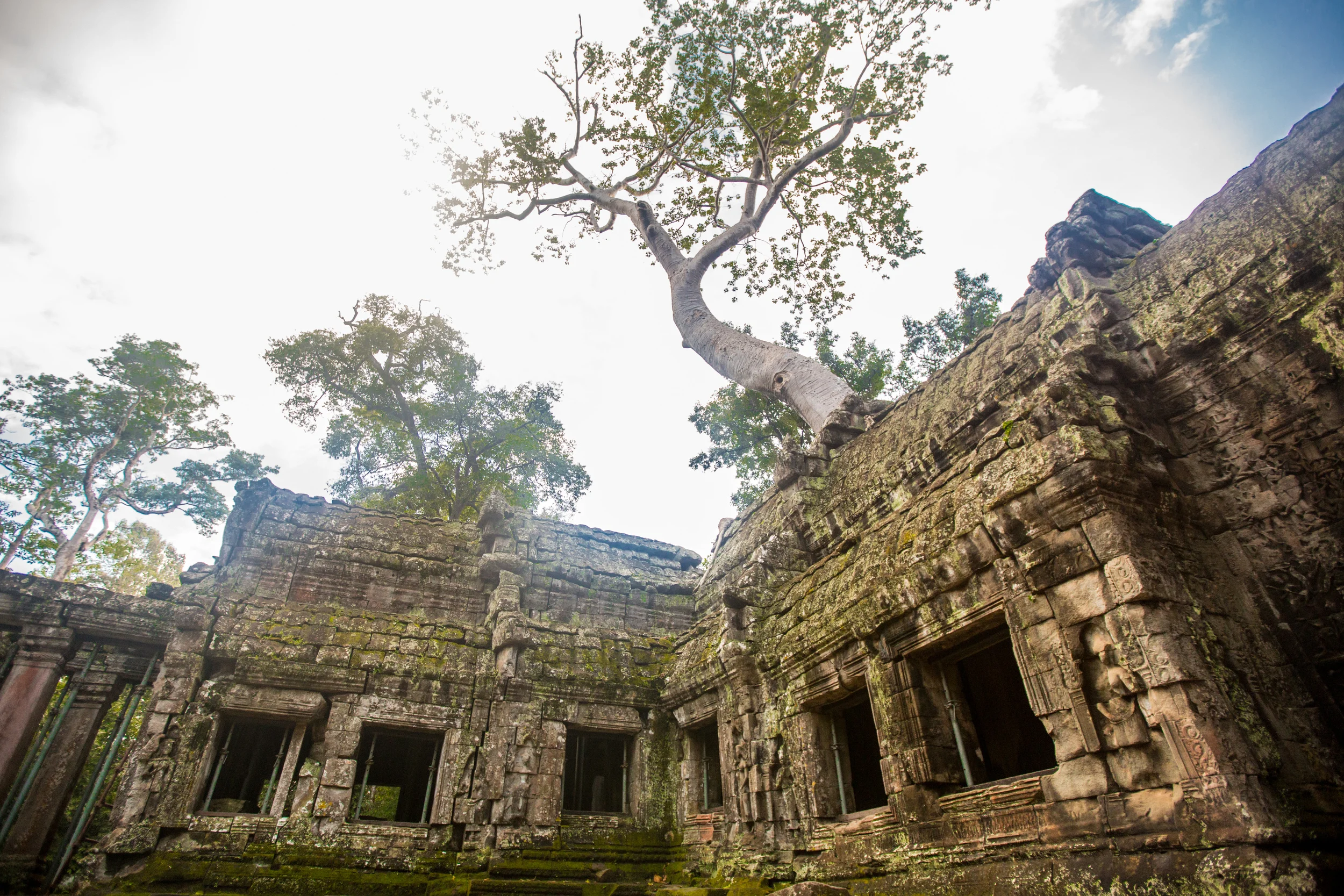 20131127-PQ7A1848.jpg