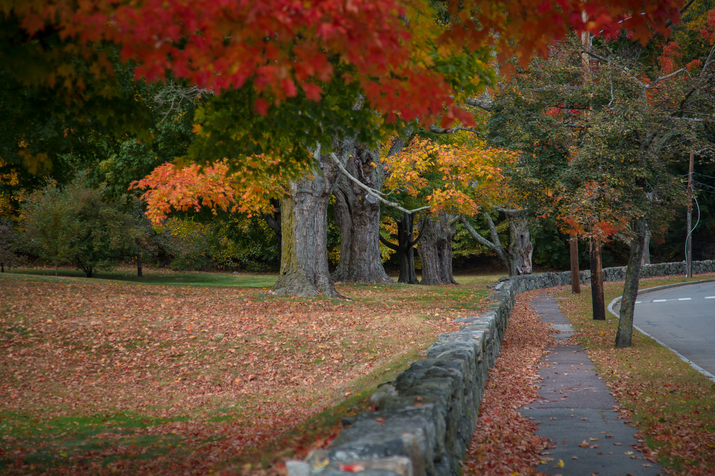 20131010-PQ7A3608.jpg