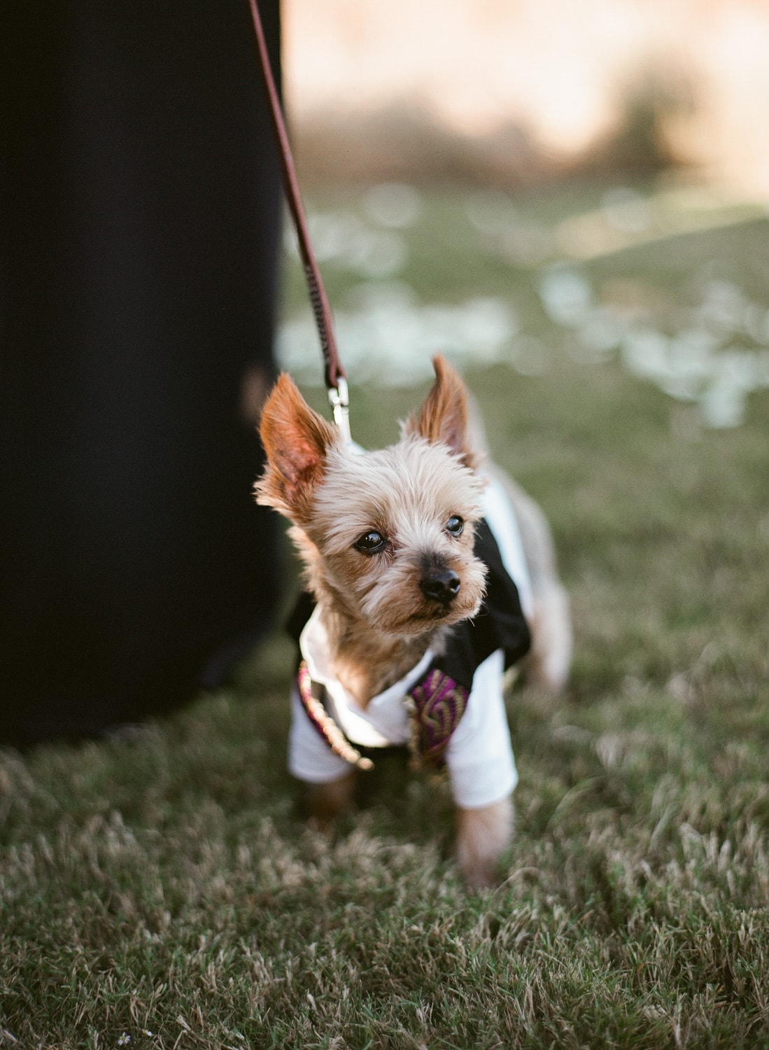 AUSTIN-MODERN-MONOCHROMATIC-INDIAN-WEDDING-00487_1.jpg