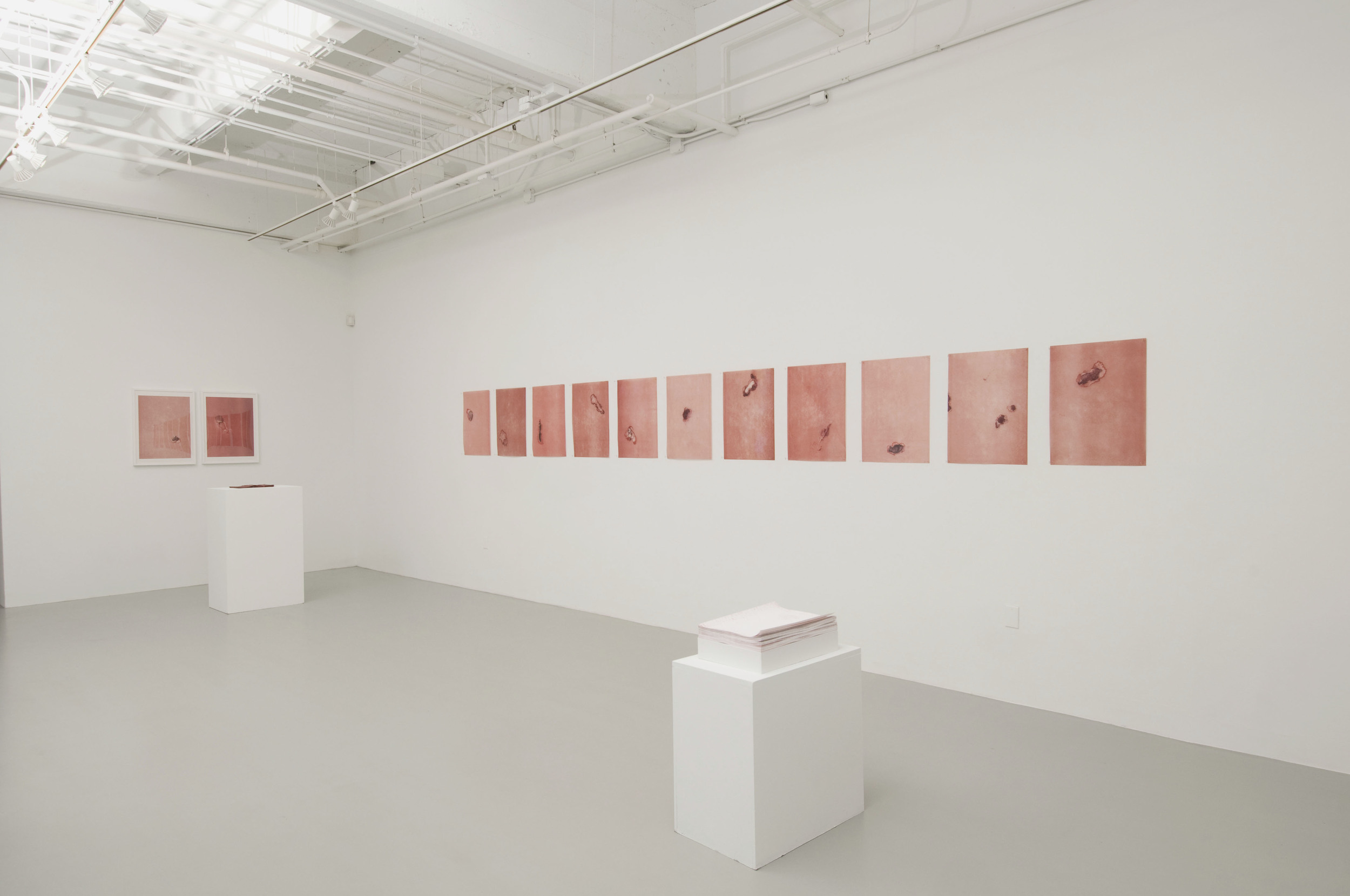 MFA Thesis Exhibition Installation View Rosenwald-Wolf Gallery The University of the Arts