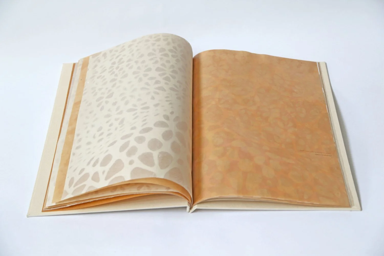  The inspiration for this book comes from considering the way clothing imposes and impresses itself on the body. The pages alternate between cotton blowouts of lace patterns on translucent abaca and flesh toned sheets of paper embossed with the same 